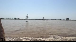 Punjab Flood: ਪਾਕਿਸਤਾਨ ਤੋਂ ਆ ਰਹੇ ਪਾਣੀ ‘ਚ ਤੈਰ ਰਹੇ ਜਹਿਰੀਲੇ ਜਾਨਵਰ, ਲੋਕਾਂ ਦੀ ਸਰਕਾਰ ਨੂੰ ਭਾਵੁਕ ਅਪੀਲ