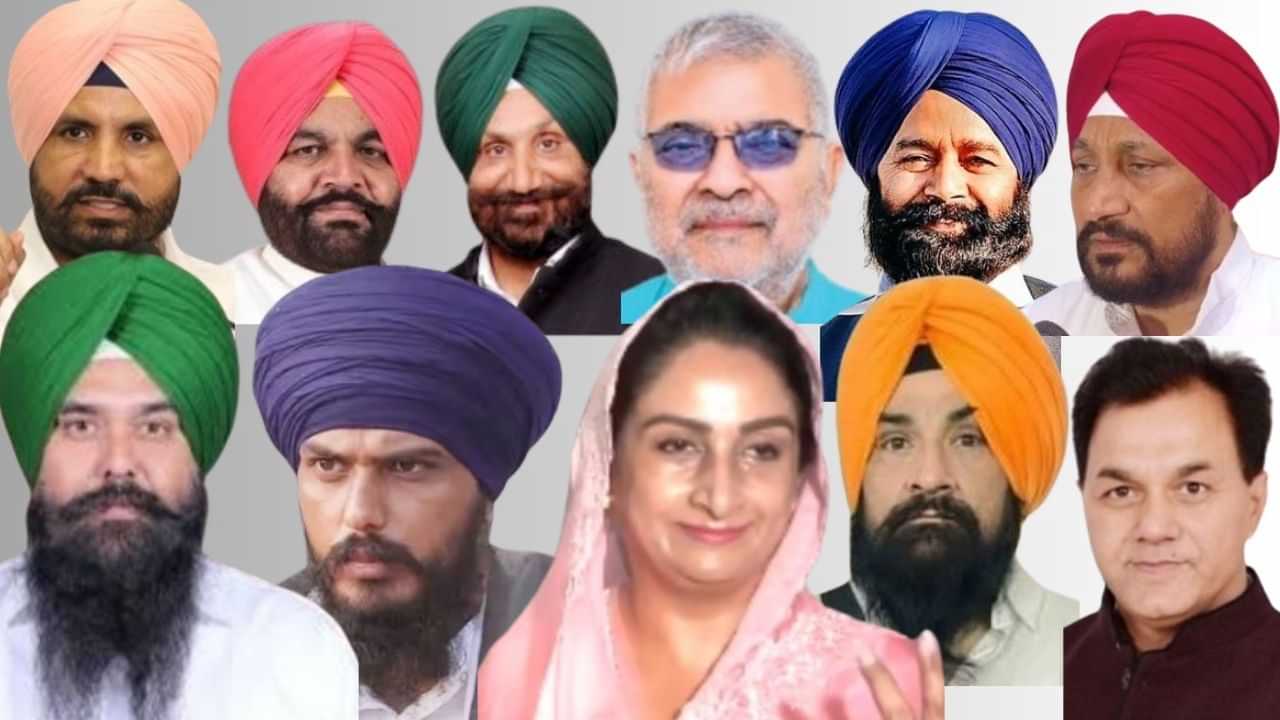 Punjab New MP: ਪੰਜਾਬ ਦੇ ਨਵੇਂ ਬਣੇ 13 ਸਾਂਸਦ, ਜਾਣੋ ਇਨ੍ਹਾਂ ਦੀ ਪੂਰੀ ਕੁੰਡਲੀ