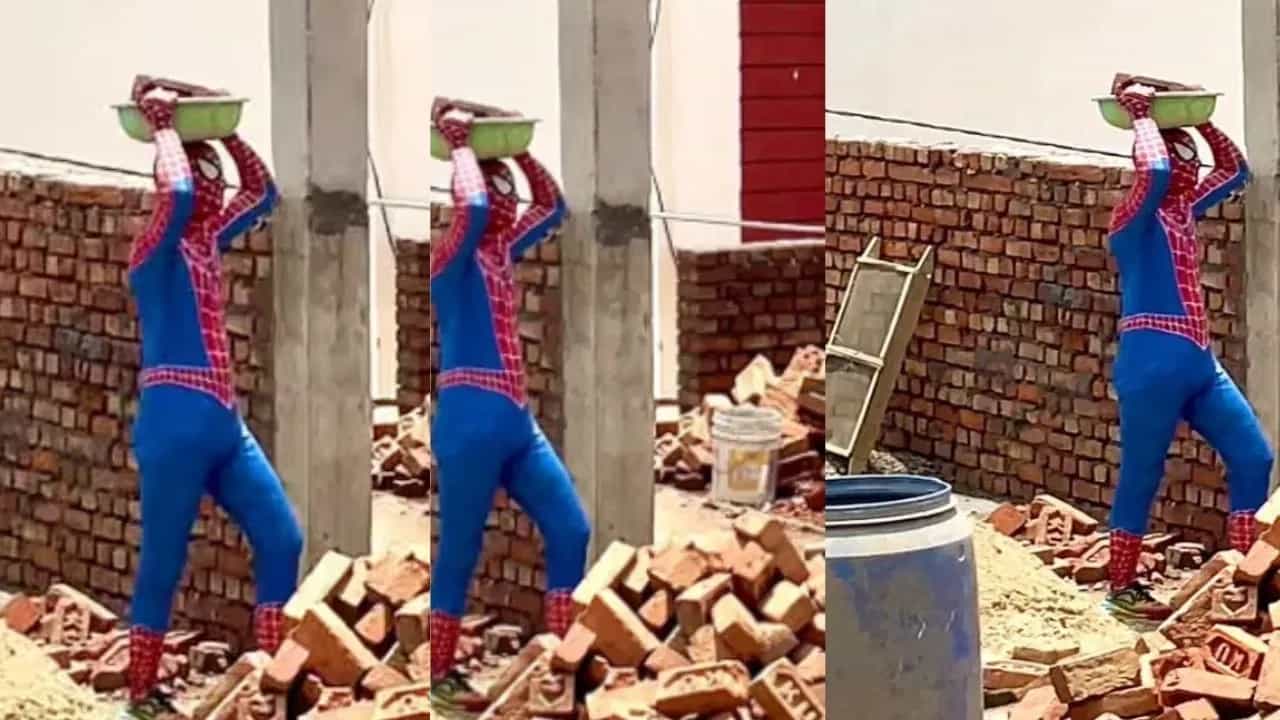 ਦੁਨੀਆ ਬਚਾਉਂਦੇ-ਬਚਾਉਂਦੇ ਮਜ਼ਦੂਰ ਬਣਿਆ ਸਪਾਈਡਰ-ਮੈਨ, ਦਿਹਾੜੀ ਕਰਨ ਦਾ ਵੀਡੀਓ ਵਾਇਰਲ