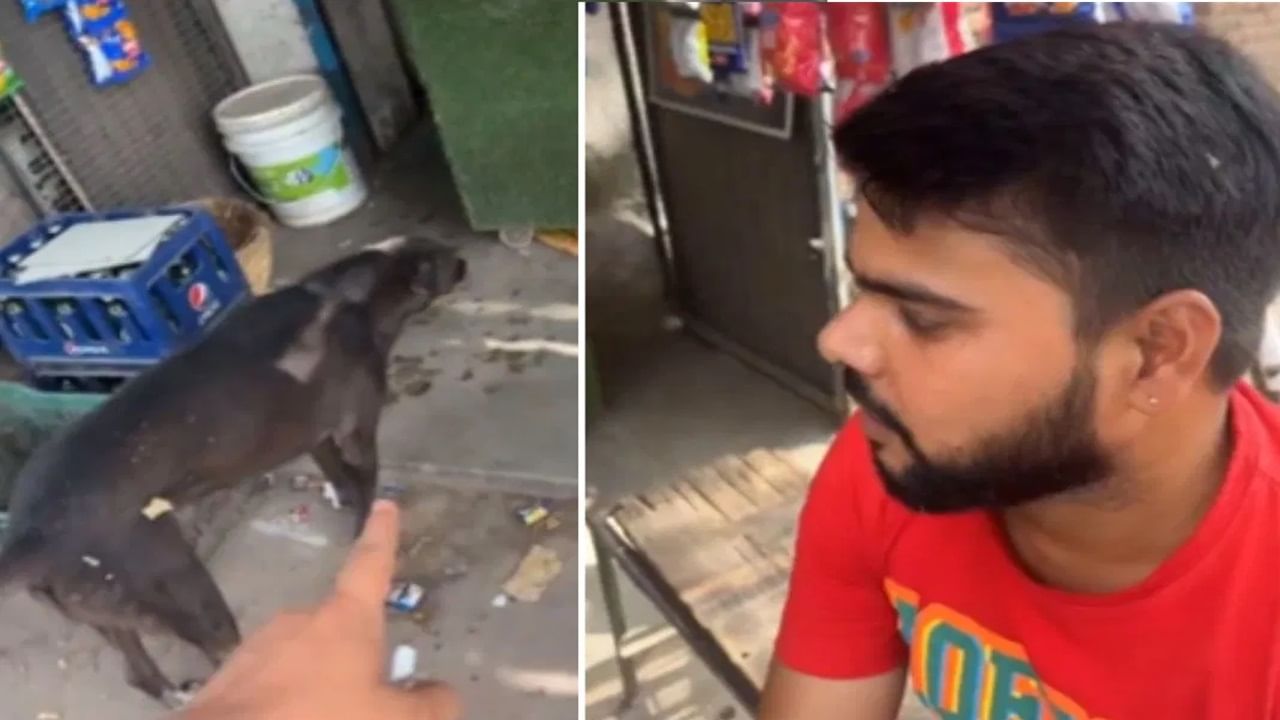 Viral Video: ਕੁੱਤੇ ਨੂੰ ਕਾਲੂ ਕਹਿ ਕੇ ਛੇੜ ਰਿਹਾ ਸੀ ਸ਼ਖਸ, ਅੱਗੇ ਦੇਖੋ ਕਿਵੇਂ ਲਿਆ ਬਦਲਾ Viral Video: ਕੁੱਤੇ ਨੂੰ ਕਾਲੂ ਕਹਿ ਕੇ ਛੇੜ ਰਿਹਾ ਸੀ ਸ਼ਖਸ, ਅੱਗੇ ਦੇਖੋ ਕਿਵੇਂ ਲਿਆ ਬਦਲਾ