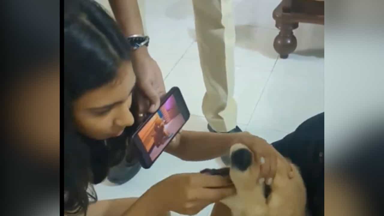 Viral Video: ਕੁੱਤਿਆਂ ਨੂੰ ਵੀ ਚੜ੍ਹਿਆ ਸਮਾਰਟ ਫ਼ੋਨ ਦਾ ਬੁਖ਼ਾਰ, ਇਸਤੇਮਾਲ ਕਰਨ ਦਾ ਤਰੀਕਾ ਥੋੜਾ ਕੈਜ਼ੂਅਲ Viral Video: ਕੁੱਤਿਆਂ ਨੂੰ ਵੀ ਚੜ੍ਹਿਆ ਸਮਾਰਟ ਫ਼ੋਨ ਦਾ ਬੁਖ਼ਾਰ, ਇਸਤੇਮਾਲ ਕਰਨ ਦਾ ਤਰੀਕਾ ਥੋੜਾ ਕੈਜ਼ੂਅਲ