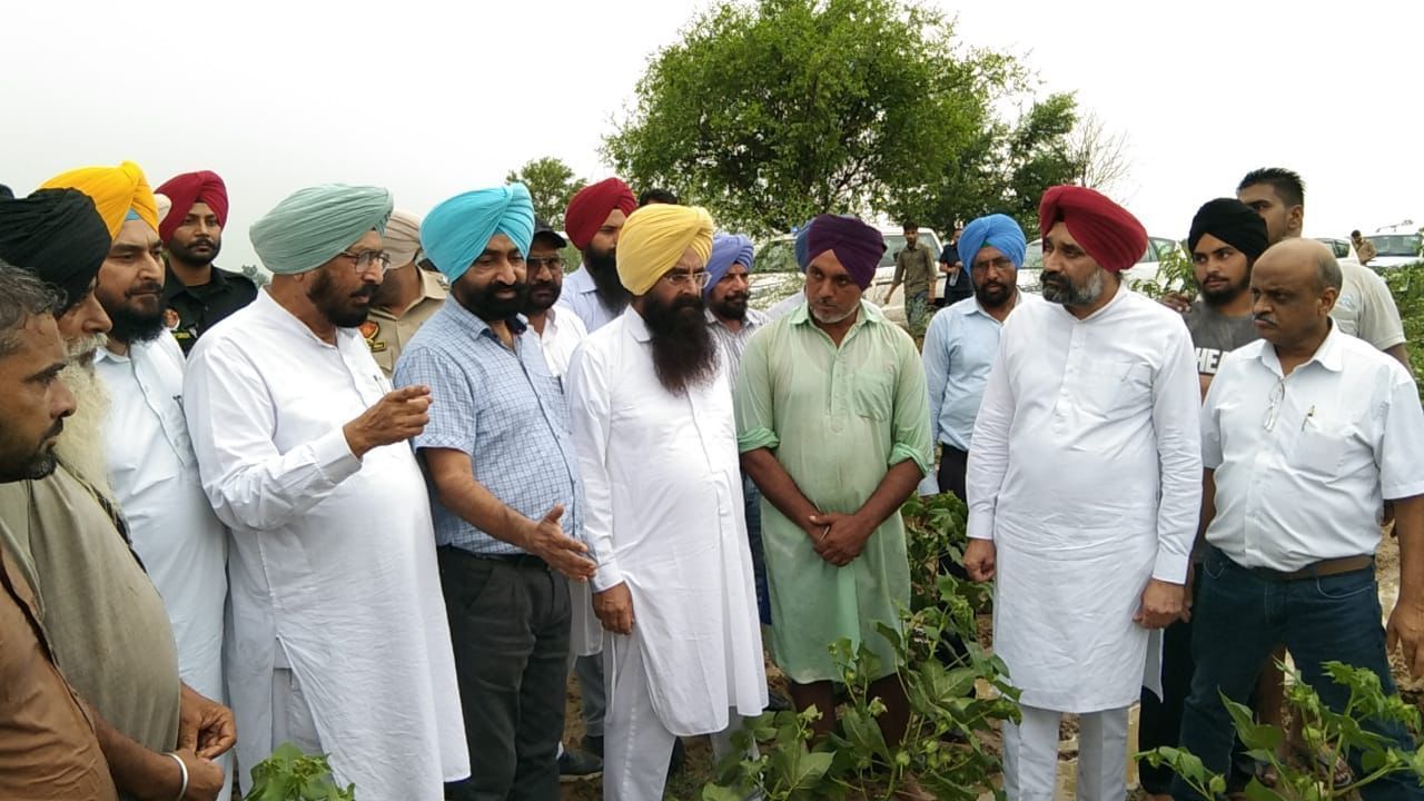 ਗੁਰਮੀਤ ਖੁੱਡੀਆਂ ਨੇ ਮਾਨਸਾ ਜ਼ਿਲ੍ਹੇ ‘ਚ ਨਰਮੇ ਦੀ ਫ਼ਸਲ ਦਾ ਜਾਇਜ਼ਾ ਲਿਆ, 198 ਥਾਵਾਂ ਦਾ ਸਰਵੇਖਣ, ਗੁਲਾਬੀ ਸੁੰਡੀ ਦੇ ਹਮਲੇ ਦਾ ਨਹੀਂ ਮਿਲਿਆ ਕੋਈ ਹੌਟਸਪੌਟ ਗੁਰਮੀਤ ਖੁੱਡੀਆਂ ਨੇ ਮਾਨਸਾ ਜ਼ਿਲ੍ਹੇ ‘ਚ ਨਰਮੇ ਦੀ ਫ਼ਸਲ ਦਾ ਜਾਇਜ਼ਾ ਲਿਆ, 198 ਥਾਵਾਂ ਦਾ ਸਰਵੇਖਣ, ਗੁਲਾਬੀ ਸੁੰਡੀ ਦੇ ਹਮਲੇ ਦਾ ਨਹੀਂ ਮਿਲਿਆ ਕੋਈ ਹੌਟਸਪੌਟ