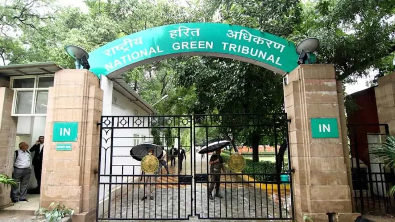 NGT ਦੀ ਹਰੀ ਝੰਡੀ, 1 ਜੂਨ ਤੋਂ ਸ਼ੁਰੂ ਹੋਵੇਗੀ ਝੋਨੇ ਦੀ ਲਵਾਈ, ਕਾਨੂੰਨੀ ਅੜਿੱਕਾ ਖਤਮ