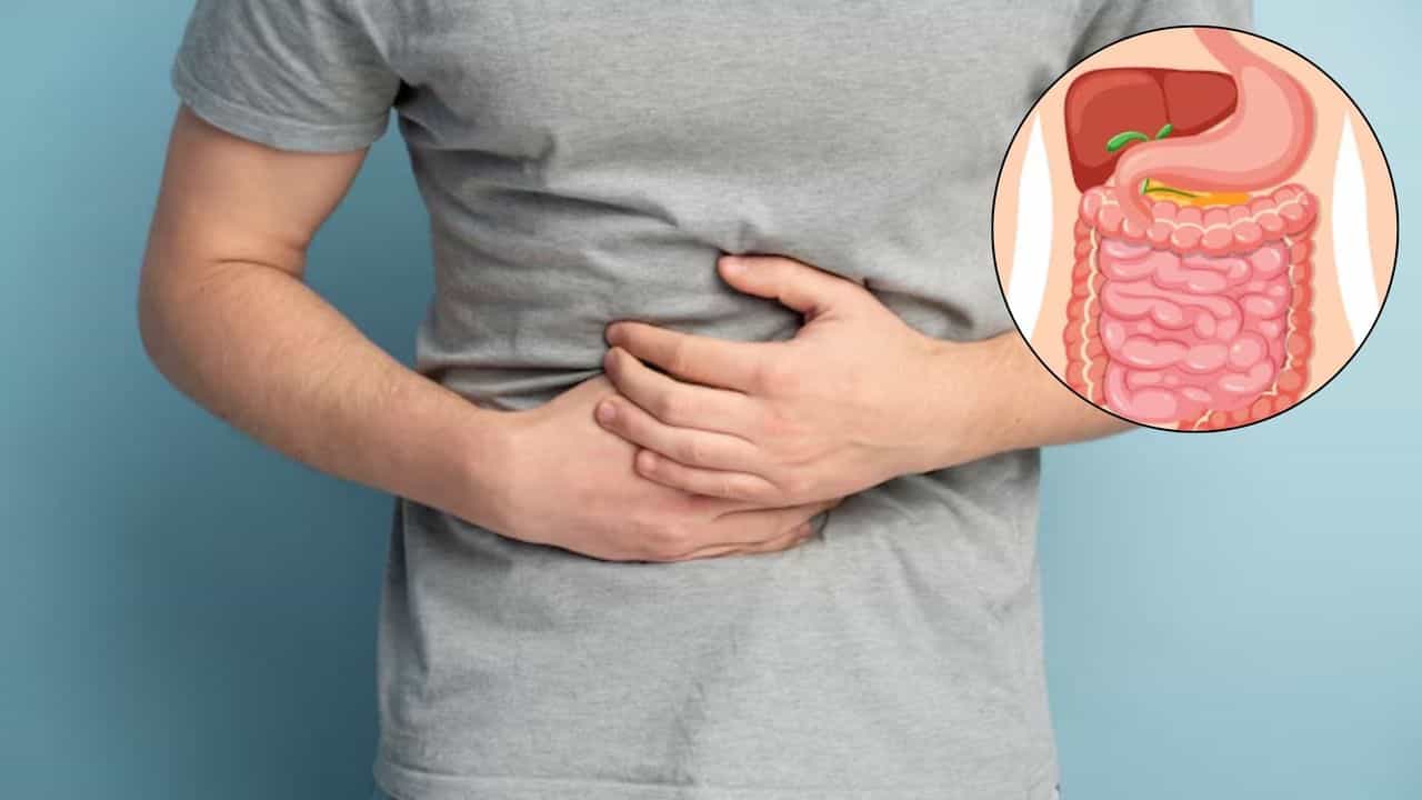 Gut Health: ਪਹਿਲਾਂ ਨਾਲੋਂ ਘੱਟ ਲੱਗ ਰਹੀ ਹੈ ਭੁੱਖ? ਡਾਕਟਰ ਤੋਂ ਜਾਣੋ ਇਸਦਾ ਕਾਰਨ ਅਤੇ ਬਚਾਅ Gut Health: ਪਹਿਲਾਂ ਨਾਲੋਂ ਘੱਟ ਲੱਗ ਰਹੀ ਹੈ ਭੁੱਖ? ਡਾਕਟਰ ਤੋਂ ਜਾਣੋ ਇਸਦਾ ਕਾਰਨ ਅਤੇ ਬਚਾਅ