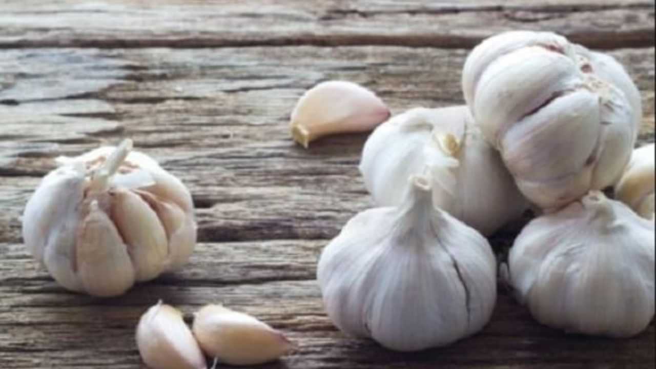 Chinese Garlic: ਕਿਤੇ ਤੁਸੀਂ ਤਾਂ ਨਹੀਂ ਖਰੀਦ ਰਹੇ ਚੀਨੀ ਲਸਣ, ਜਾਣ ਕੇ ਰਹਿ ਜਾਓਗੇ ਹੈਰਾਨ ?