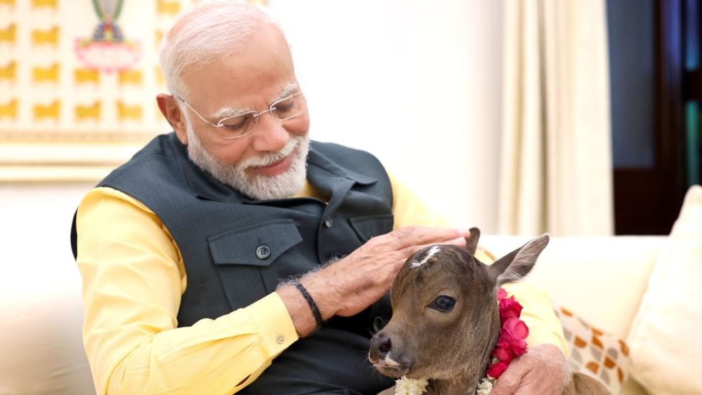 ਤਸਵੀਰਾਂ ਵਿੱਚ ਪੀਐਮ ਮੋਦੀ ਉਸ ਨੂੰ ਪਿਆਰ ਕਰਦੇ ਨਜ਼ਰ ਆ ਰਹੇ ਹਨ। ਪ੍ਰਧਾਨ ਮੰਤਰੀ ਮੋਦੀ ਨੇ ਘਰ ਦੇ ਮੰਦਰ ਵਿੱਚ ਦੀਪ ਜਯੋਤੀ ਨੂੰ ਮਾਲਾ ਪਹਿਨਾਈ ਅਤੇ ਉਸ ਨੂੰ ਆਪਣੀ ਗੋਦੀ ਵਿੱਚ ਬਿਠਾ ਕੇ ਉਸ ਨੂੰ ਪਿਆਰ ਕੀਤਾ। ਪੀਐਮ ਮੋਦੀ ਉਸ ਨੂੰ ਪੀਐਮ ਨਿਵਾਸ ਵਿੱਚ ਘੁੰਮਾਉਂਦੇ ਨਜ਼ਰ ਆ ਰਹੇ ਹਨ। Pic Credit: x