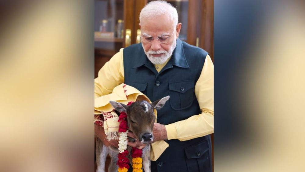 ਪ੍ਰਧਾਨ ਮੰਤਰੀ ਨਿਵਾਸ 'ਚ ਪਿਆਰੀ ਗਓ ਮਾਤਾ ਨੇ ਵੱਛੇ ਨੂੰ ਜਨਮ ਦਿੱਤਾ ਹੈ, ਜਿਸ ਦੇ ਮੱਥੇ 'ਤੇ ਜਯੋਤੀ ਦਾ ਨਿਸ਼ਾਨ ਹੈ। ਇਸ ਲਈ ਮੈਂ ਇਸ ਦਾ ਨਾਂ ‘ਦੀਪਜਯੋਤੀ’ ਰੱਖਿਆ ਹੈ। ਪੀਐਮ ਮੋਦੀ ਨੇ ਇਸ ਦਾ ਵੀਡੀਓ ਵੀ ਪੋਸਟ ਕੀਤਾ ਹੈ। ਜਿਸ ਨੂੰ ਦੇਖ ਕੇ ਲੋਕ ਕਮੈਂਟ ਕਰ ਰਹੇ ਹਨ। ਪੀਐਮ ਮੋਦੀ ਨੇ ਆਪਣੇ ਨਾਲ ਦੀਪਜਯੋਤੀ ਦੀਆਂ ਤਸਵੀਰਾਂ ਵੀ ਪੋਸਟ ਕੀਤੀਆਂ ਹਨ। Pic Credit: x