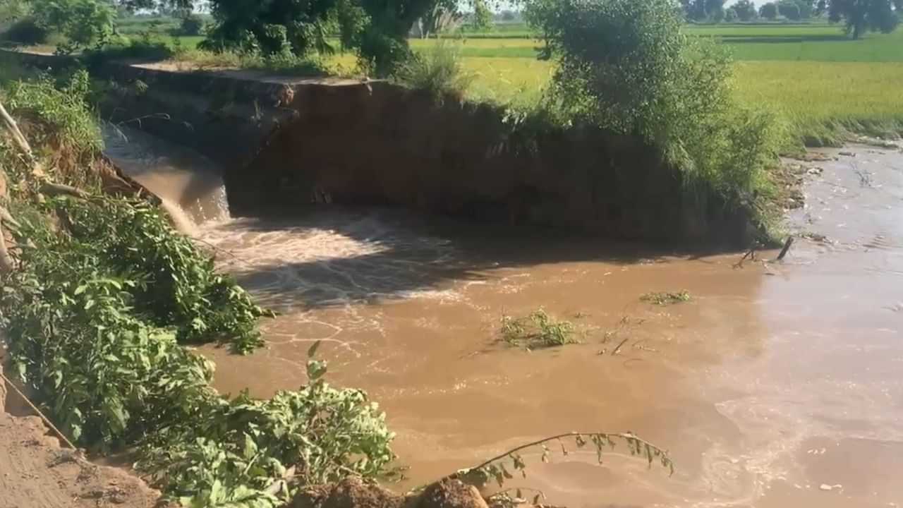 Crack In Canal: ਮਾਨਸਾ ਵਿੱਚ ਰਜਵਾਹੇ ਚ ਪਿਆ ਪਾੜ, 100 ਏਕੜ ਫਸਲ ਪਾਣੀ ਨਾਲ ਭਰੀ