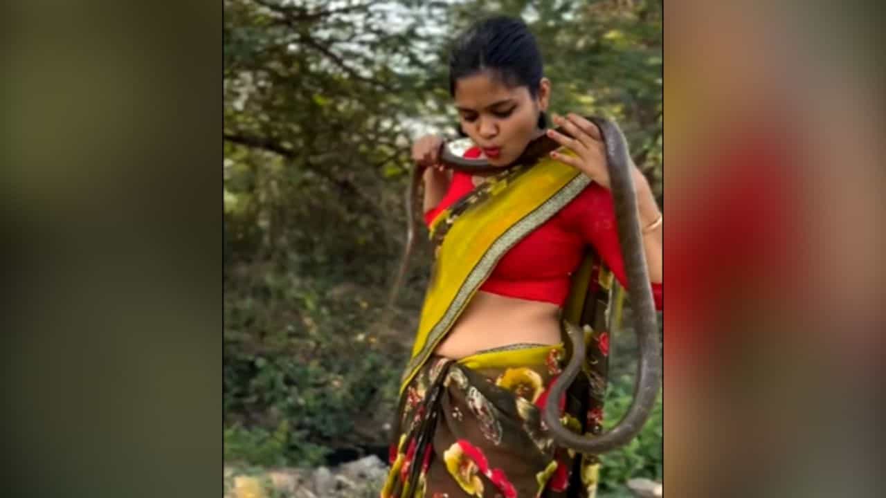 Viral Video: ਸੱਪ ਨੂੰ ਰੱਸੀ ਵਾਂਗ ਸੰਭਾਲਦੀ ਦਿਖੀ ਕੁੜੀ ਦੇਖਿਆ, ਵੀਡੀਓ ਦੇਖ ਕੇ ਉੱਡ ਜਾਣਗੇ ਹੋਸ਼ Viral Video: ਸੱਪ ਨੂੰ ਰੱਸੀ ਵਾਂਗ ਸੰਭਾਲਦੀ ਦਿਖੀ ਕੁੜੀ ਦੇਖਿਆ, ਵੀਡੀਓ ਦੇਖ ਕੇ ਉੱਡ ਜਾਣਗੇ ਹੋਸ਼