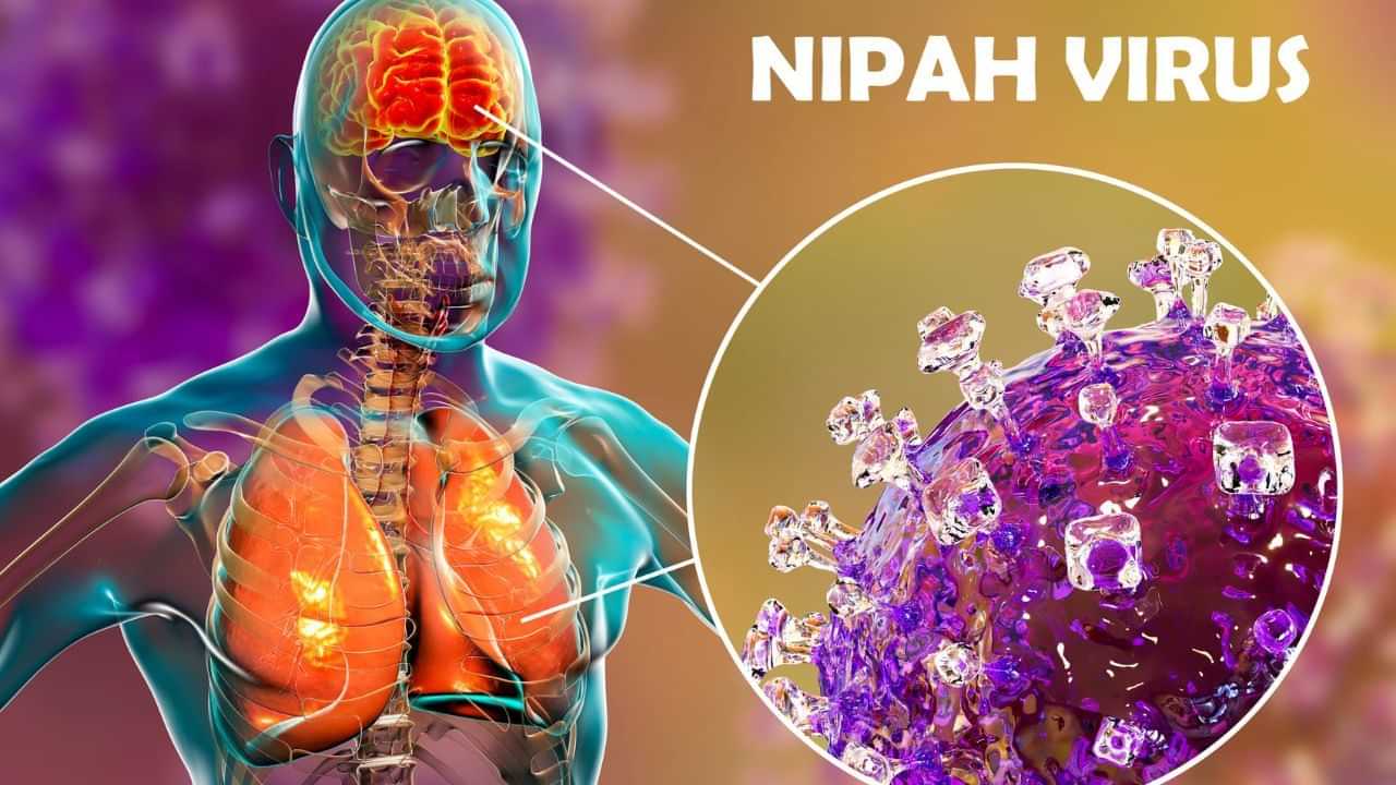 Nipah Virus: Monkeypox ਤੋਂ ਬਾਅਦ ਹੁਣ ਨਿਪਾਹ, ਕਿੰਨਾ ਖਤਰਨਾਕ ਹੋ ਸਕਦਾ ਹੈ ਵਾਇਰਸ ਦਾ ਇਹ ਕਾਕਟੇਲ?