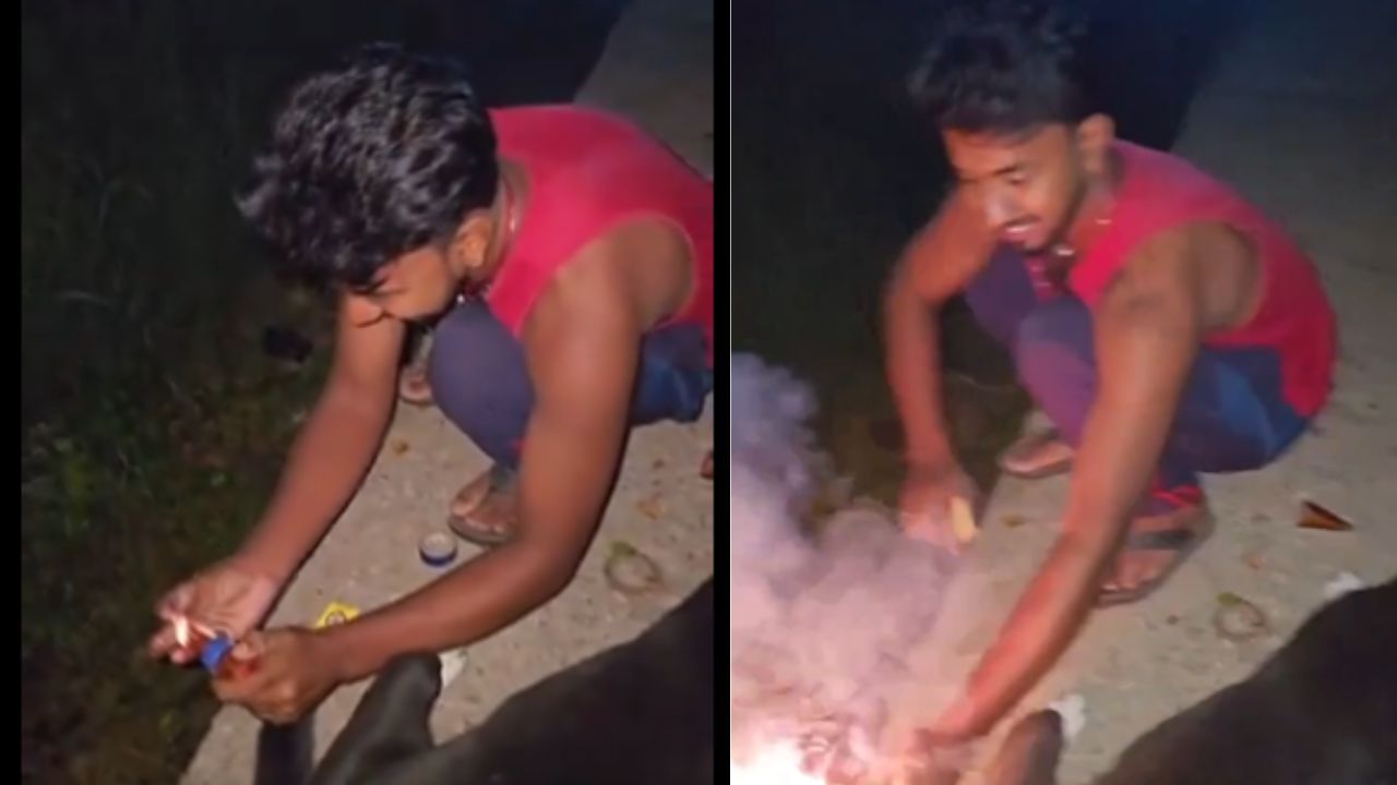Viral Video: ਕੁੱਤੇ ਦੀ ਪੂੰਛ ਨਾਲ ਬੰਨ੍ਹਿਆ ਪਟਾਕਾ, ਲੋਕ ਕਰ ਰਹੇ ਕਾਰਵਾਈ ਮੰਗ Viral Video: ਕੁੱਤੇ ਦੀ ਪੂੰਛ ਨਾਲ ਬੰਨ੍ਹਿਆ ਪਟਾਕਾ, ਲੋਕ ਕਰ ਰਹੇ ਕਾਰਵਾਈ ਮੰਗ