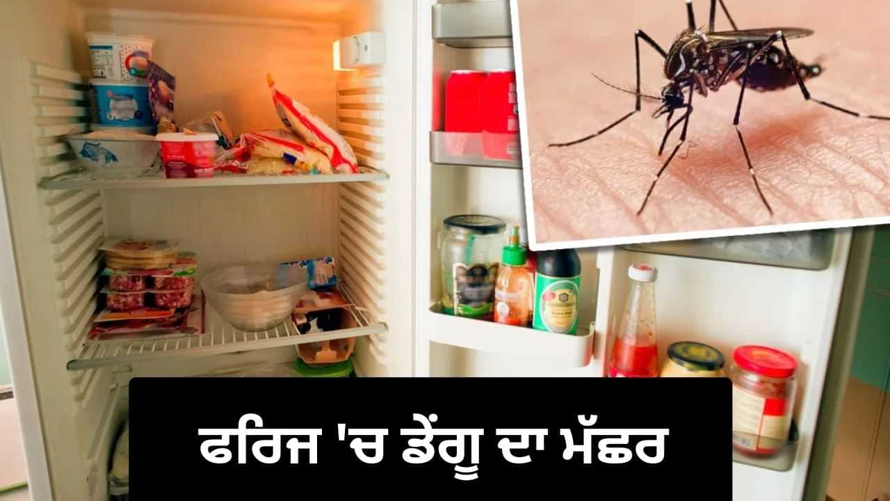 Dengue : ਫਰਿੱਜ ਦੀ ਟ੍ਰੇ ਵਿੱਚ ਵੀ ਪਲ ਰਹੇ ਡੇਂਗੂ ਦੇ ਮੱਛਰ, ਮਾਹਿਰਾਂ ਨੇ ਦੱਸਿਆ ਕਿਵੇਂ ਬਚੀਏ ਇਸ ਤੋਂ