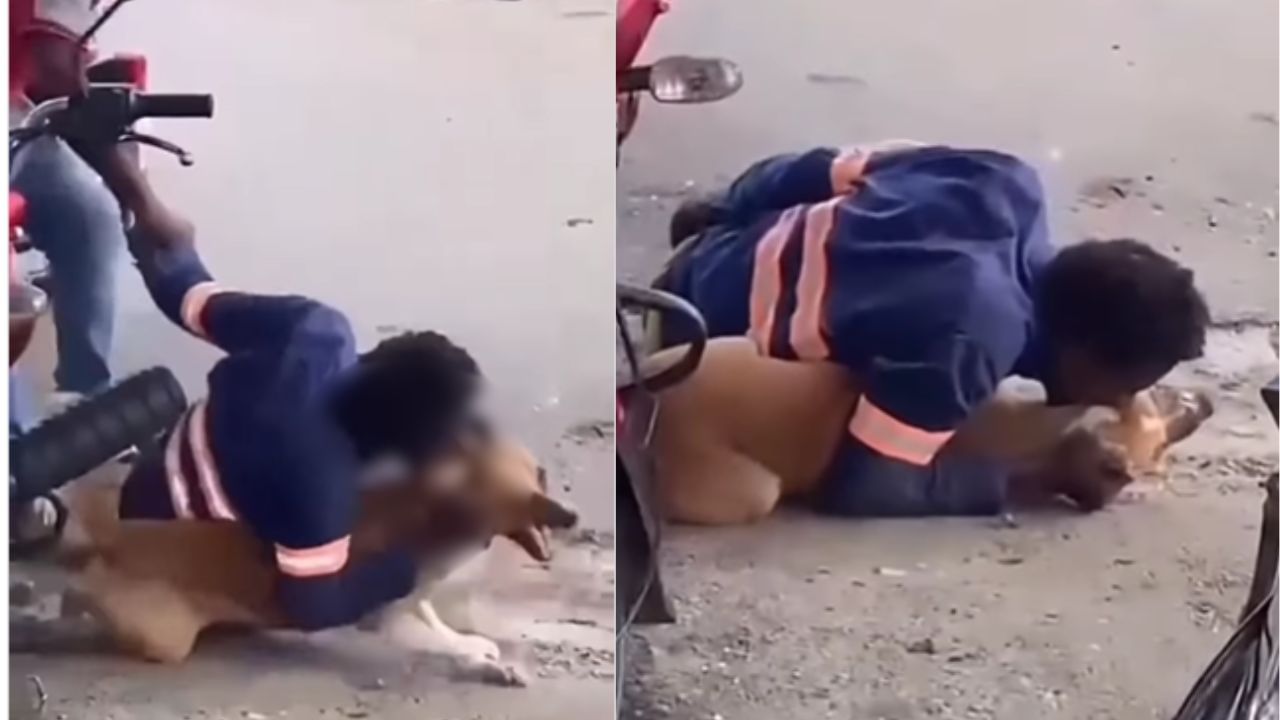 Viral: ਇਸ ਵਾਰ ਇਨਸਾਨ ਨੇ ਕੁੱਤੇ ਨੂੰ ਵੱਢਿਆ, ਸੋਸ਼ਲ ਮੀਡੀਆ ‘ਤੇ ਵਾਇਰਲ ਹੋ ਰਹੀ VIDEO Viral: ਇਸ ਵਾਰ ਇਨਸਾਨ ਨੇ ਕੁੱਤੇ ਨੂੰ ਵੱਢਿਆ, ਸੋਸ਼ਲ ਮੀਡੀਆ ‘ਤੇ ਵਾਇਰਲ ਹੋ ਰਹੀ VIDEO