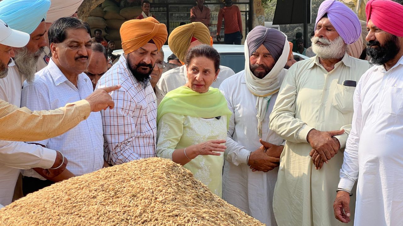 ਪਟਿਆਲਾ ਦੀ ਦਾਣਾ ਮੰਡੀ ਪਹੁੰਚੇ ਪਰਨੀਤ ਕੌਰ, ਕਿਸਾਨਾਂ ਨੇ ਕੀਤਾ ਵਿਰੋਧ ਲਗਾਏ ਨਾਅਰੇ ਪਟਿਆਲਾ ਦੀ ਦਾਣਾ ਮੰਡੀ ਪਹੁੰਚੇ ਪਰਨੀਤ ਕੌਰ, ਕਿਸਾਨਾਂ ਨੇ ਕੀਤਾ ਵਿਰੋਧ ਲਗਾਏ ਨਾਅਰੇ