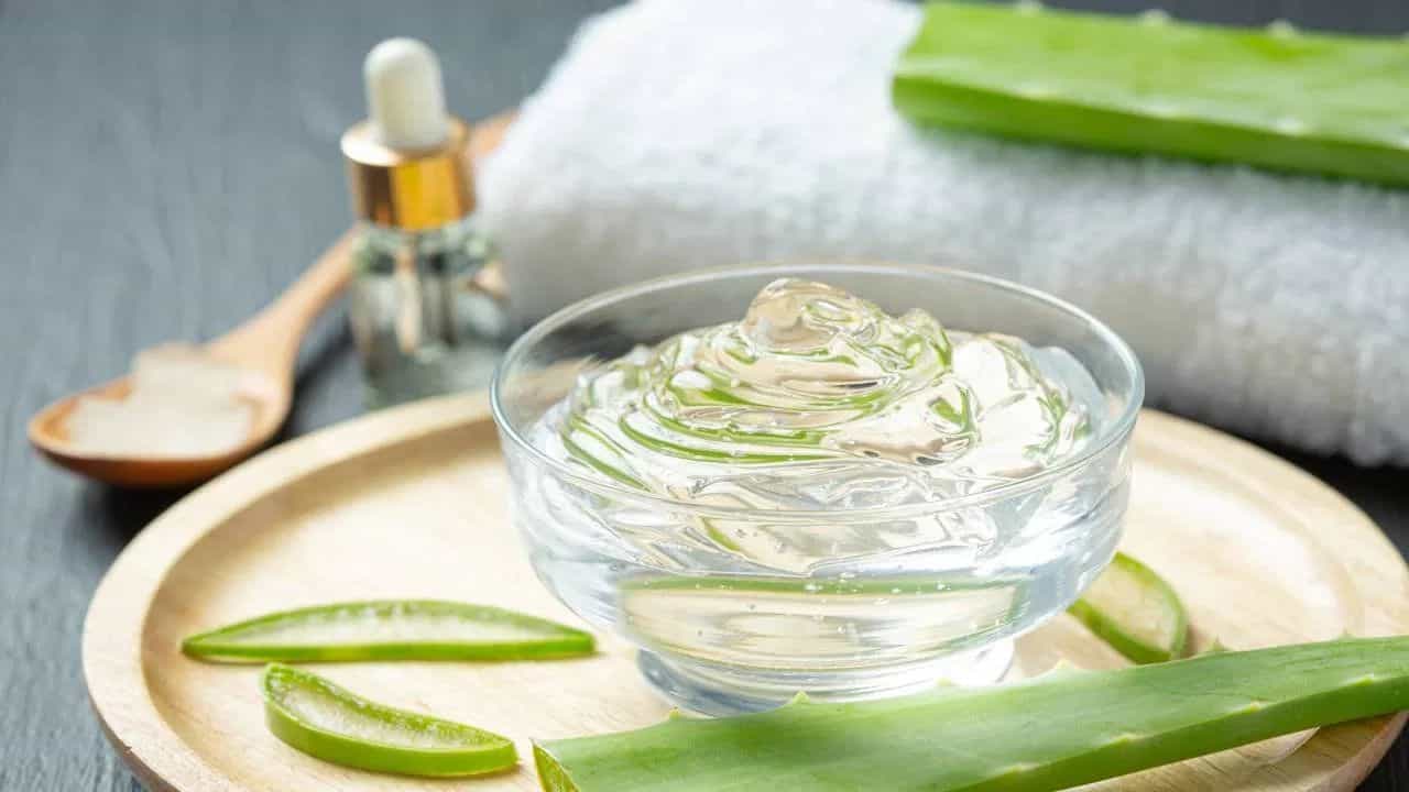 Skin Care Tips: ਸਰਦੀਆਂ ਚ ਇਸ ਤਰ੍ਹਾਂ ਕਰੋ ਐਲੋਵੇਰਾ ਜੈੱਲ ਦੀ ਵਰਤੋਂ, ਚਮਕ ਜਾਵੇਗੀ ਸਕਿਨ! Skin Care Tips: ਸਰਦੀਆਂ ਚ ਇਸ ਤਰ੍ਹਾਂ ਕਰੋ ਐਲੋਵੇਰਾ ਜੈੱਲ ਦੀ ਵਰਤੋਂ, ਚਮਕ ਜਾਵੇਗੀ ਸਕਿਨ!