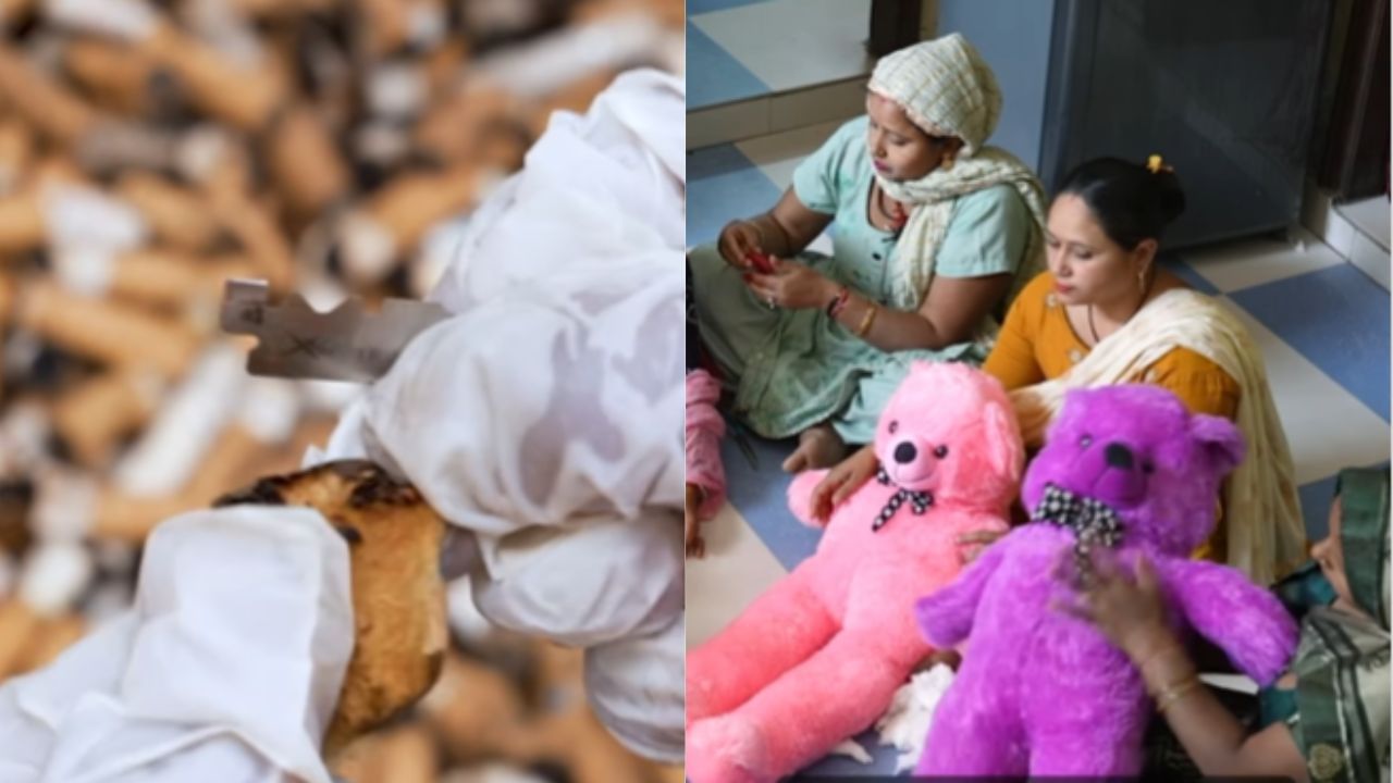 Viral Video: ਸਿਗਰਟ ਦੇ ਟੁੱਕੜਿਆਂ ਤੋਂ ਟੈਡੀ ਬੀਅਰ ਬਣਾਉਂਦਾ ਹੈ ਸ਼ਖਸ, ਦੇਖੋ ਵੀਡੀਓ Viral Video: ਸਿਗਰਟ ਦੇ ਟੁੱਕੜਿਆਂ ਤੋਂ ਟੈਡੀ ਬੀਅਰ ਬਣਾਉਂਦਾ ਹੈ ਸ਼ਖਸ, ਦੇਖੋ ਵੀਡੀਓ