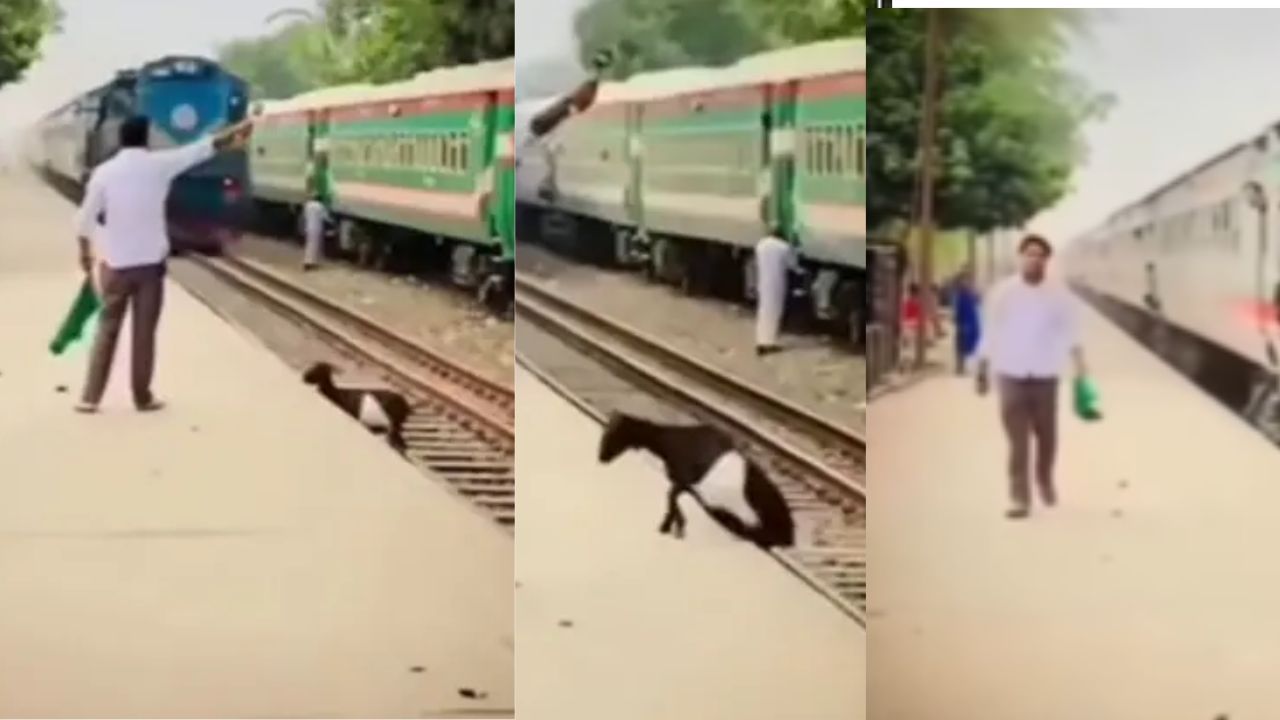 Goat Accident: ਥੋੜੀ ਜਿਹੀ ਵੀ ਇਨਸਾਨੀਅਤ ਹੁੰਦੀ ਤਾਂ ਬਚ ਸਕਦੀ ਸੀ ਬੇਜ਼ੁਬਾਨ ਜਾਨਵਰ ਦੀ ਜਾਨ …ਬੱਕਰੀ ਦੀ ਦਰਦਨਾਕ ਮੌਤ ਦੇਖ ਹੋ ਜਾਓਗੇ ਭਾਵੁਕ Goat Accident: ਥੋੜੀ ਜਿਹੀ ਵੀ ਇਨਸਾਨੀਅਤ ਹੁੰਦੀ ਤਾਂ ਬਚ ਸਕਦੀ ਸੀ ਬੇਜ਼ੁਬਾਨ ਜਾਨਵਰ ਦੀ ਜਾਨ …ਬੱਕਰੀ ਦੀ ਦਰਦਨਾਕ ਮੌਤ ਦੇਖ ਹੋ ਜਾਓਗੇ ਭਾਵੁਕ