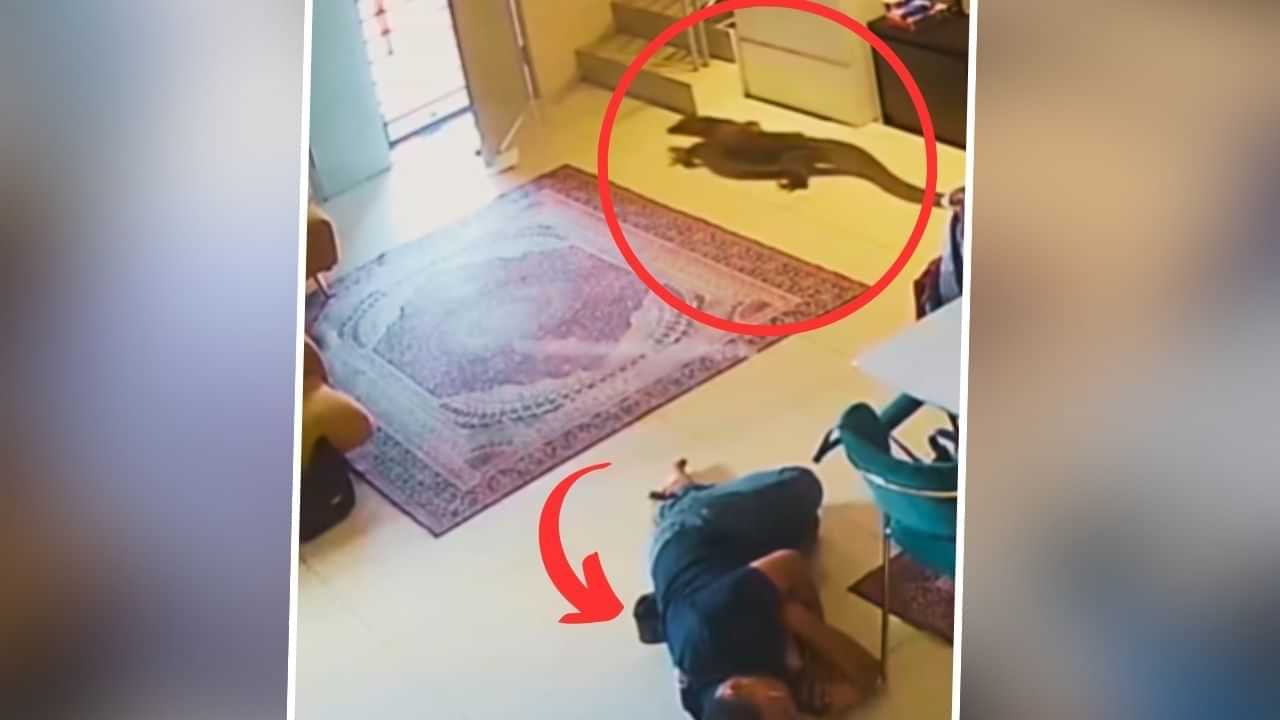 Monitor Lizard Entered House Video: ਗਹਿਰੀ ਨੀਂਦ ਚ ਸੀ ਸ਼ਖਸ, ਘਰ ਚ ਵੜਿਆ ਇਹ ਖਤਰਨਾਕ ਜੀਵ, ਅੱਗੇ ਜੋ ਹੋਇਆ; ਵੀਡੀਓ ਦੇਖੋ