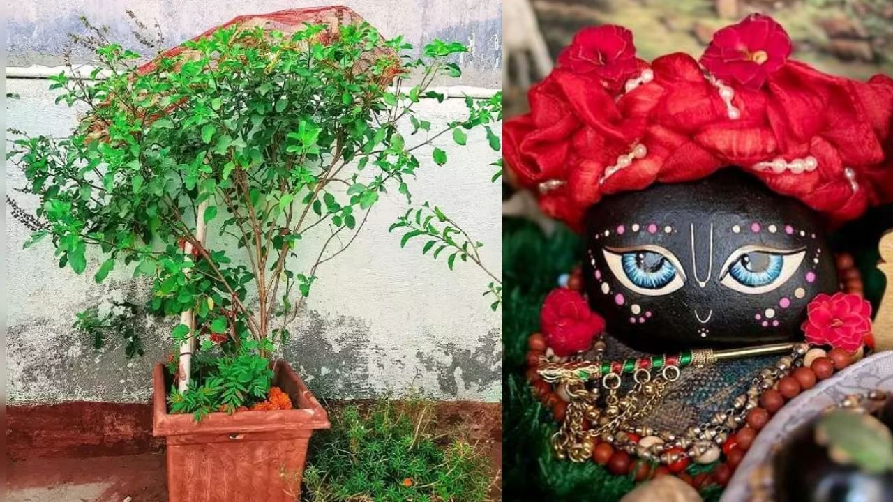 Tulsi Vivah 2024 Katha: ਤੁਲਸੀ ਵਿਵਾਹ ਵਾਲੇ ਦਿਨ ਪੂਜਾ ਸਮੇਂ ਪੜ੍ਹੋ ਇਹ ਕਥਾ, ਵਿਆਹੁਤਾ ਜੀਵਨ ਰਹੇਗਾ ਖੁਸ਼ਹਾਲ! Tulsi Vivah 2024 Katha: ਤੁਲਸੀ ਵਿਵਾਹ ਵਾਲੇ ਦਿਨ ਪੂਜਾ ਸਮੇਂ ਪੜ੍ਹੋ ਇਹ ਕਥਾ, ਵਿਆਹੁਤਾ ਜੀਵਨ ਰਹੇਗਾ ਖੁਸ਼ਹਾਲ!