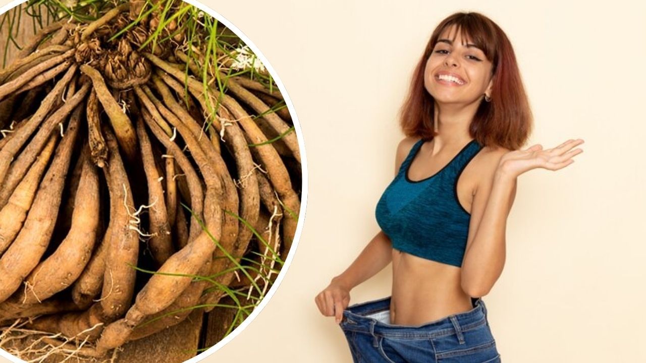 Weight Gain: ਕਮਜ਼ੋਰ ਸਰੀਰ ‘ਚ ਜਾਨ ਭਰ ਦੇਣਗੀਆਂ ਇਹ 4 ਜੜ੍ਹੀਆਂ ਬੂਟੀਆਂ, ਮਾਹਿਰ ਤੋਂ ਜਾਣੋ Weight Gain: ਕਮਜ਼ੋਰ ਸਰੀਰ ‘ਚ ਜਾਨ ਭਰ ਦੇਣਗੀਆਂ ਇਹ 4 ਜੜ੍ਹੀਆਂ ਬੂਟੀਆਂ, ਮਾਹਿਰ ਤੋਂ ਜਾਣੋ