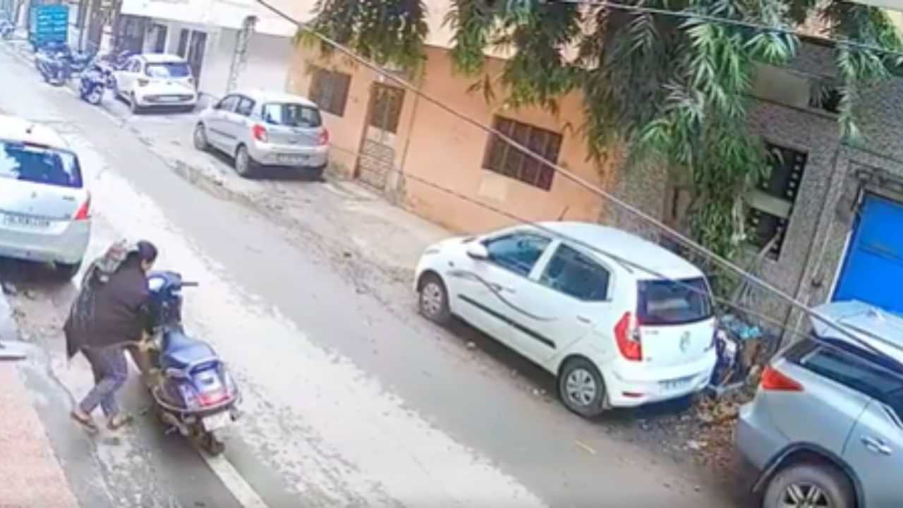 Viral Video of Stealing: ਔਰਤ ਨੇ ਦਿਨ-ਦਿਹਾੜੇ ਸਕੂਟੀ ਤੇ ਆ ਕੇ ਕੀਤੀ ਗਮਲਿਆਂ ਦੀ ਚੋਰੀ, ਯੂਜ਼ਰਸ ਬੋਲੇ- Money Plant