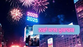 Top 50 Happy New Year 2025 Quotes: ਨਵੇਂ ਸਾਲ ਦੀਆਂ ਮੁਬਾਰਕਾਂ ਦਾ ਸ਼ਾਇਰਾਨਾ ਅੰਦਾਜ਼ ਵਿੱਚ ਦਿਓ ਜਵਾਬ, ਇਹ ਦੇਖੋ ਘੈਂਟ ਕੋਟਸ