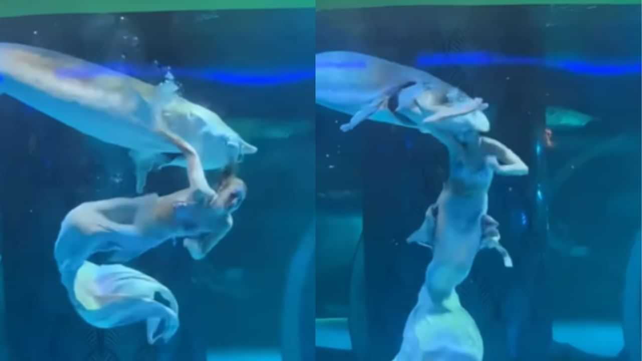 ਪਾਣੀ ਵਿੱਚ ਜਲਪਰੀ ਬਣ Perform ਕਰ ਰਹੀ ਸੀ ਔਰਤ, ਪਰ Whale ਨੇ ਦਬੋਚ ਲਿਆ ਮੂੰਹ, ਦੇਖ ਕੇ ਹੋ ਜਾਓਗੇ ਹੈਰਾਨ ਪਾਣੀ ਵਿੱਚ ਜਲਪਰੀ ਬਣ Perform ਕਰ ਰਹੀ ਸੀ ਔਰਤ, ਪਰ Whale ਨੇ ਦਬੋਚ ਲਿਆ ਮੂੰਹ, ਦੇਖ ਕੇ ਹੋ ਜਾਓਗੇ ਹੈਰਾਨ