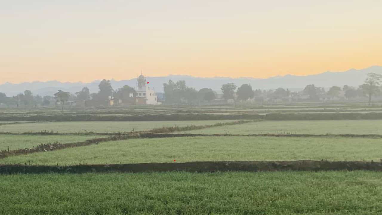 ਪੰਜਾਬ ਚ ਅਗਲੇ ਹਫ਼ਤੇ ਤੱਕ ਮੌਸਮ ਰਹੇਗਾ ਖੁਸ਼ਕ, ਤਾਪਮਾਨ ਵਿੱਚ 6-8 ਡਿੱਗਰੀ ਵਾਧੇ ਦੀ ਸੰਭਾਵਨਾ ਪੰਜਾਬ ਚ ਅਗਲੇ ਹਫ਼ਤੇ ਤੱਕ ਮੌਸਮ ਰਹੇਗਾ ਖੁਸ਼ਕ, ਤਾਪਮਾਨ ਵਿੱਚ 6-8 ਡਿੱਗਰੀ ਵਾਧੇ ਦੀ ਸੰਭਾਵਨਾ