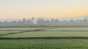 ਪੰਜਾਬ ‘ਚ ਅਗਲੇ ਹਫ਼ਤੇ ਤੱਕ ਮੌਸਮ ਰਹੇਗਾ ਖੁਸ਼ਕ, ਤਾਪਮਾਨ ਵਿੱਚ 6-8 ਡਿੱਗਰੀ ਵਾਧੇ ਦੀ ਸੰਭਾਵਨਾ...