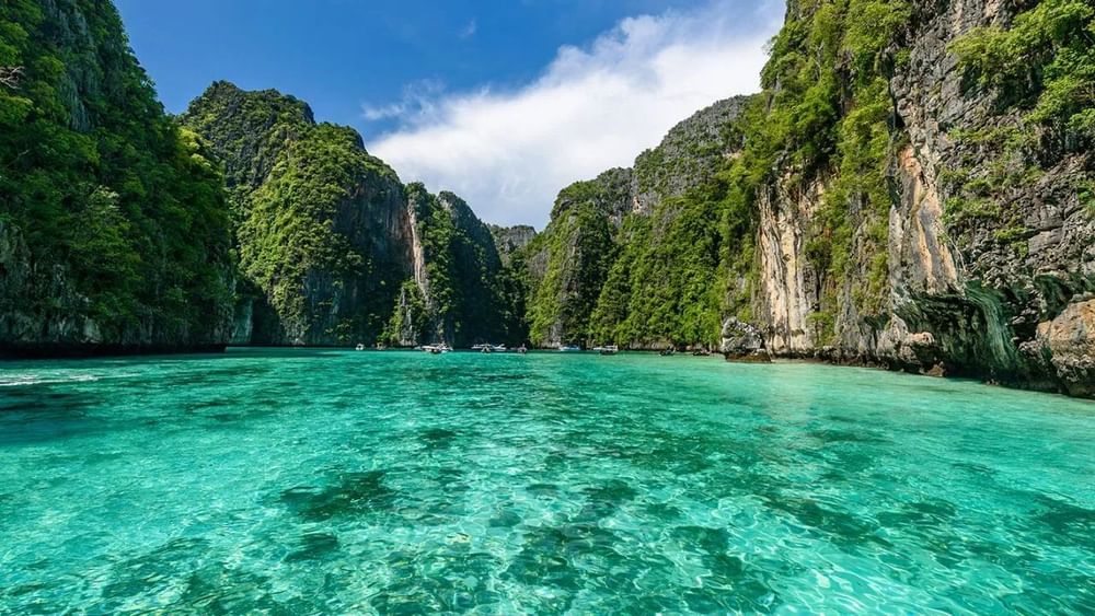 ਥਾਈਲੈਂਡ ਵਿੱਚ ਘੁੰਮਣ-ਫਿਰਨ ਵਾਲੀਆਂ ਥਾਵਾਂ ਦੀ ਗੱਲ ਕਰੀਏ ਤਾਂ, ਤੁਸੀਂ ਥਾਈਲੈਂਡ ਦੀ ਰਾਜਧਾਨੀ ਬੈਂਕਾਕ, ਫੁਕੇਟ, ਚਿਆਂਗ ਮਾਈ, ਪੱਟਾਇਆ, ਕੋਹ ਸਮੂਈ, ਫਾਈ ਫਾਈ ਆਈਲੈਂਡ ਅਤੇ ਕੋਰਲ ਆਈਲੈਂਡ ਦੀ ਯਾਤਰਾ ਕਰ ਸਕਦੇ ਹੋ। ਇਸ ਤੋਂ ਇਲਾਵਾ, ਥਾਈਲੈਂਡ ਦੀ ਨਾਈਟ ਲਾਈਫ ਬਹੁਤ ਮਸ਼ਹੂਰ ਹੈ।