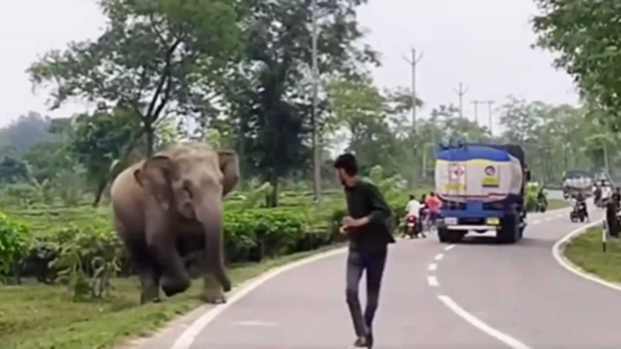 Elephant Viral Video: ਹਾਥੀ ਦੇ ਸਾਹਮਣੇ ਸਮਾਰਟ ਬਣਨ ਦੀ ਕਰ ਰਿਹਾ ਸੀ ਕੋਸ਼ਿਸ਼, ਗਜਰਾਜ ਨੇ ਪਲਕ ਝਪਕਦਿਆਂ ਹੀ ਇੰਝ ਸਿਖਾਇਆ ਸਬਕ