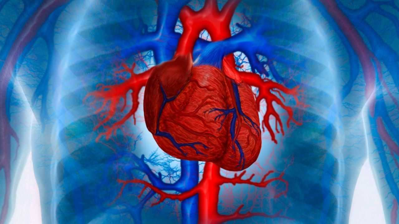 Heart Blockage : ਜੇਕਰ ਤਾਪਮਾਨ ਘਟਣ ਨਾਲ ਸਰੀਰ ਵਿੱਚ ਦਿਖਾਈ ਦੇ ਰਹੇ ਹਨ ਇਹ ਲੱਛਣ ਤਾਂ ਸਮਝ ਜਾਓ Heart ਵਿੱਚ ਵੱਧ ਰਿਹਾ ਹੈ ਬਲਾਕੇਜ