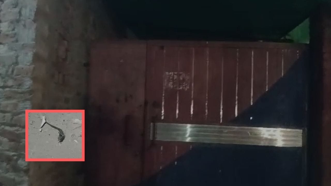 ਅੰਮ੍ਰਿਤਸਰ ਦੀ ਪੁਲਿਸ ਚੌਂਕੀ 'ਤੇ ਹੋਏ ਗ੍ਰਨੇਡ ਹਮਲੇ ਦਾ ਸੱਚ ਕੀ ਹੈ? ਪੂਰੀ ਕਹਾਣੀ ਵੇਖੋ