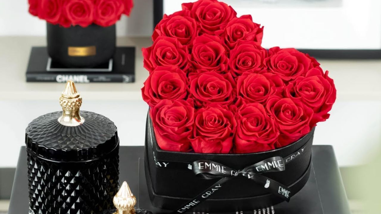 Rose Day Gift Ideas: ਜੇਕਰ ਤੁਸੀਂ ਰੋਜ਼ ਡੇਅ 'ਤੇ ਆਪਣੇ ਪਾਟਨਰ ਨੂੰ ਕੋਈ ਖਾਸ ਤੋਹਫ਼ਾ ਦੇਣਾ ਚਾਹੁੰਦੇ ਹੋ, ਤਾਂ ਇਨ੍ਹਾਂ ਤੋਹਫ਼ਿਆਂ ਤੋਂ ਲਓ Idea