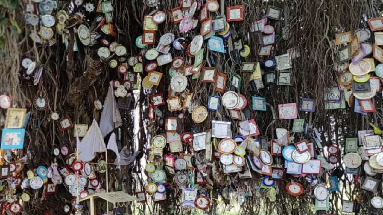 Viral News: ਇਸ ਰੁੱਖ ਤੇ  ਟੰਗੋ ਘੜੀ, ਖ਼ਤਮ ਹੋ ਜਾਣਗੀਆਂ ਦੁੱਖ ਦੀ ਘੜੀਆਂ,  ਕੀ ਹੈ ਕਹਾਣੀ?