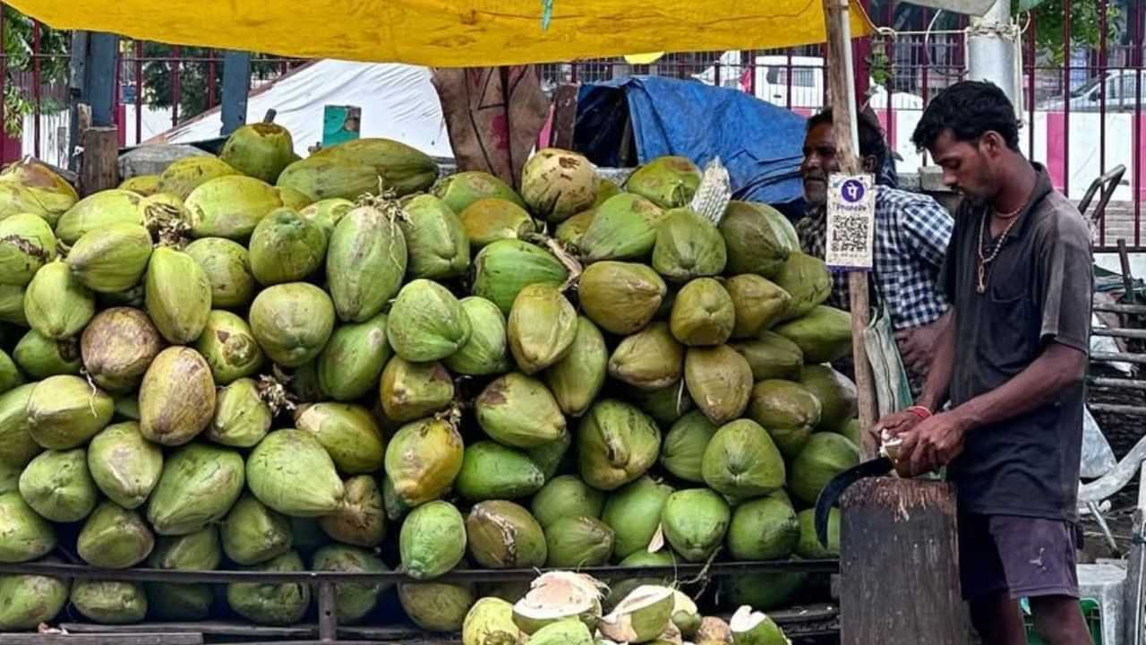 ਔਰਤ ਨੇ ਜਲਦਬਾਜ਼ੀ ਚ ਦੁਕਾਨਦਾਰ ਨੂੰ ਨਾਰੀਅਲ ਦੇਣ ਲਈ ਕਿਹਾ ਤਾਂ ਸ਼ਖਸ ਨੇ ਦਿੱਤੀ ਖ਼ਾਸ ਸਲਾਹ, ਤੁਸੀਂ ਵੀ ਸੁਣੋ