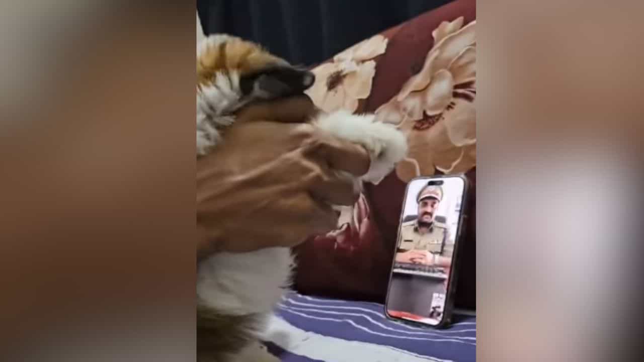 ਡਿਜੀਟਲ ਅਰੈਸਟ ਲਈ ਆਇਆ ਫੋਨ, ਨੌਜਵਾਨ ਨੇ ਖੇਡੀ ਅਜਿਹੀ ਚਾਲ; ਤੁਸੀਂ ਵੀ ਹੋ ਜਾਵੋਗੇ ਹੈਰਾਨ