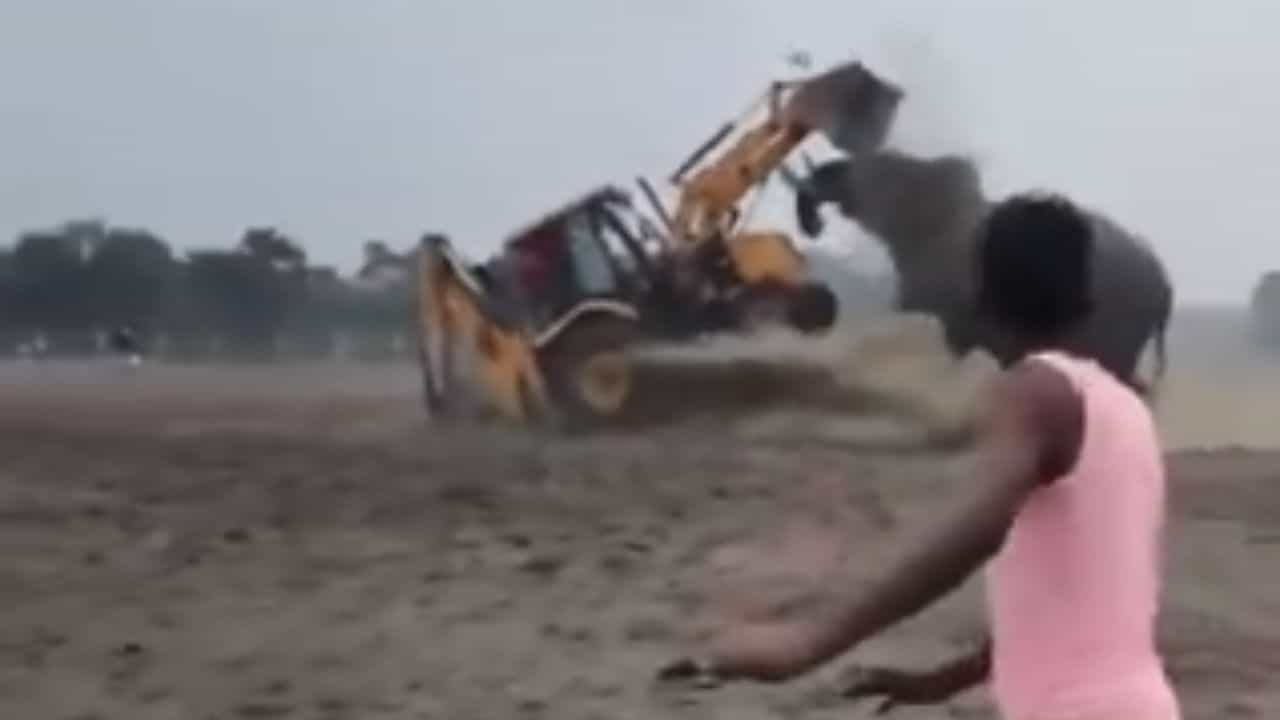 Viral Video: ਹਾਥੀ ਦੇ ਸਾਹਮਣੇ ਜੇਸੀਬੀ ਵੀ ਕੁਝ ਨਹੀਂ, ਵਾਇਰਲ ਵੀਡੀਓ ਦੇਖ ਕੇ ਤੁਸੀਂ ਵੀ ਰਹਿ ਜਾਓਗੇ ਦੰਗ Viral Video: ਹਾਥੀ ਦੇ ਸਾਹਮਣੇ ਜੇਸੀਬੀ ਵੀ ਕੁਝ ਨਹੀਂ, ਵਾਇਰਲ ਵੀਡੀਓ ਦੇਖ ਕੇ ਤੁਸੀਂ ਵੀ ਰਹਿ ਜਾਓਗੇ ਦੰਗ