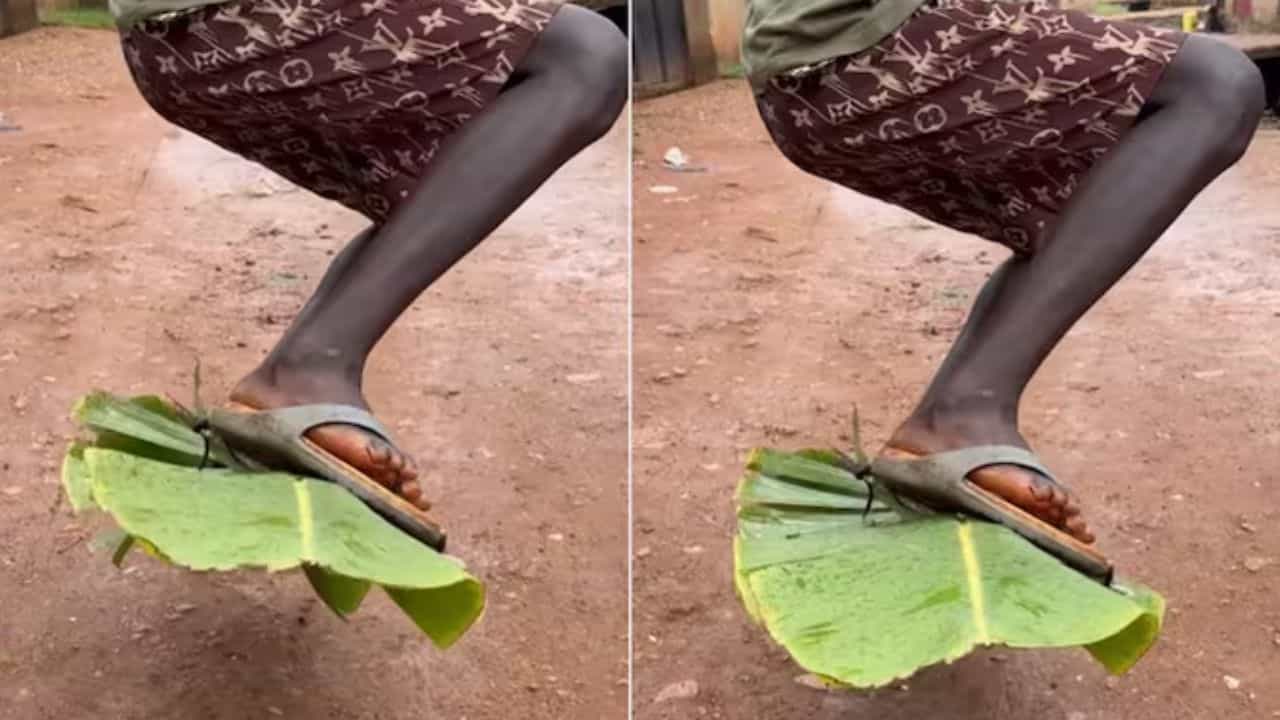 ਕੇਲੇ ਦੇ ਪੱਤੇ ਤੇ ਮੁੰਡੇ ਨੇ ਭਰੀ ਉਡਾਨ, ਅਪਣਾਈ ਗਜ਼ਬ ਦੀ Trick, ਵੀਡੀਓ ਨੇ ਘੁੰਮਾ ਦਿੱਤਾ ਲੋਕਾਂ ਦਾ ਦਿਮਾਗ