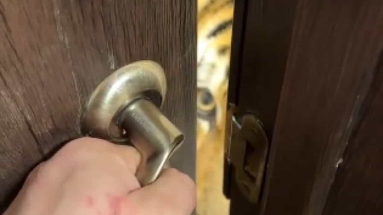 Viral Video: ਦਰਵਾਜ਼ਾ ਖੋਲ੍ਹਦੇ ਹੀ  ਸਾਹਮਣੇ ਆਇਆ ਸ਼ੇਰ, 13 ਸਕਿੰਟ ਦਾ ਵੀਡੀਓ ਦੇਖ ਰੁਕ ਜਾਣਗੇ ਸਾਹ