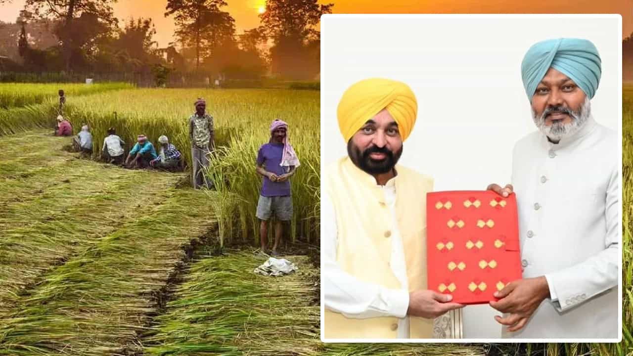Punjab Budget 2025-2026: ਖੇਤੀਬਾੜੀ ਖੇਤਰ ਚ ਮਿਲਣਗੀਆਂ ਇਹ ਸਹੂਲਤਾਂ, ਬਾਗਬਾਨੀ ਲਈ 137 ਕਰੋੜ ਰੁਪਏ ਦਾ ਬਜਟ ਰੱਖਿਆ