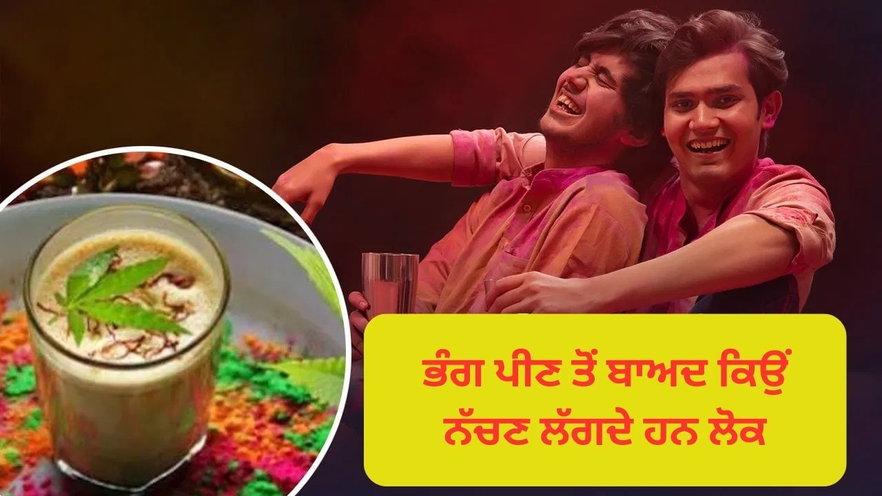 ਭੰਗ ਪੀਣ ਤੋਂ ਬਾਅਦ ਕਿਉਂ ਨੱਚਣ ਲੱਗਦੇ ਹਨ ਲੋਕ, ਅਸਰ ਦੇਖਣ ਵਿੱਚ ਕਿੰਨਾ ਸਮਾਂ ਲੱਗਦਾ ਹੈ, ਜਾਣੋ ਇਸ ਦੇ ਪਿੱਛੇ ਦਾ ਵਿਗਿਆਨ ਭੰਗ ਪੀਣ ਤੋਂ ਬਾਅਦ ਕਿਉਂ ਨੱਚਣ ਲੱਗਦੇ ਹਨ ਲੋਕ, ਅਸਰ ਦੇਖਣ ਵਿੱਚ ਕਿੰਨਾ ਸਮਾਂ ਲੱਗਦਾ ਹੈ, ਜਾਣੋ ਇਸ ਦੇ ਪਿੱਛੇ ਦਾ ਵਿਗਿਆਨ