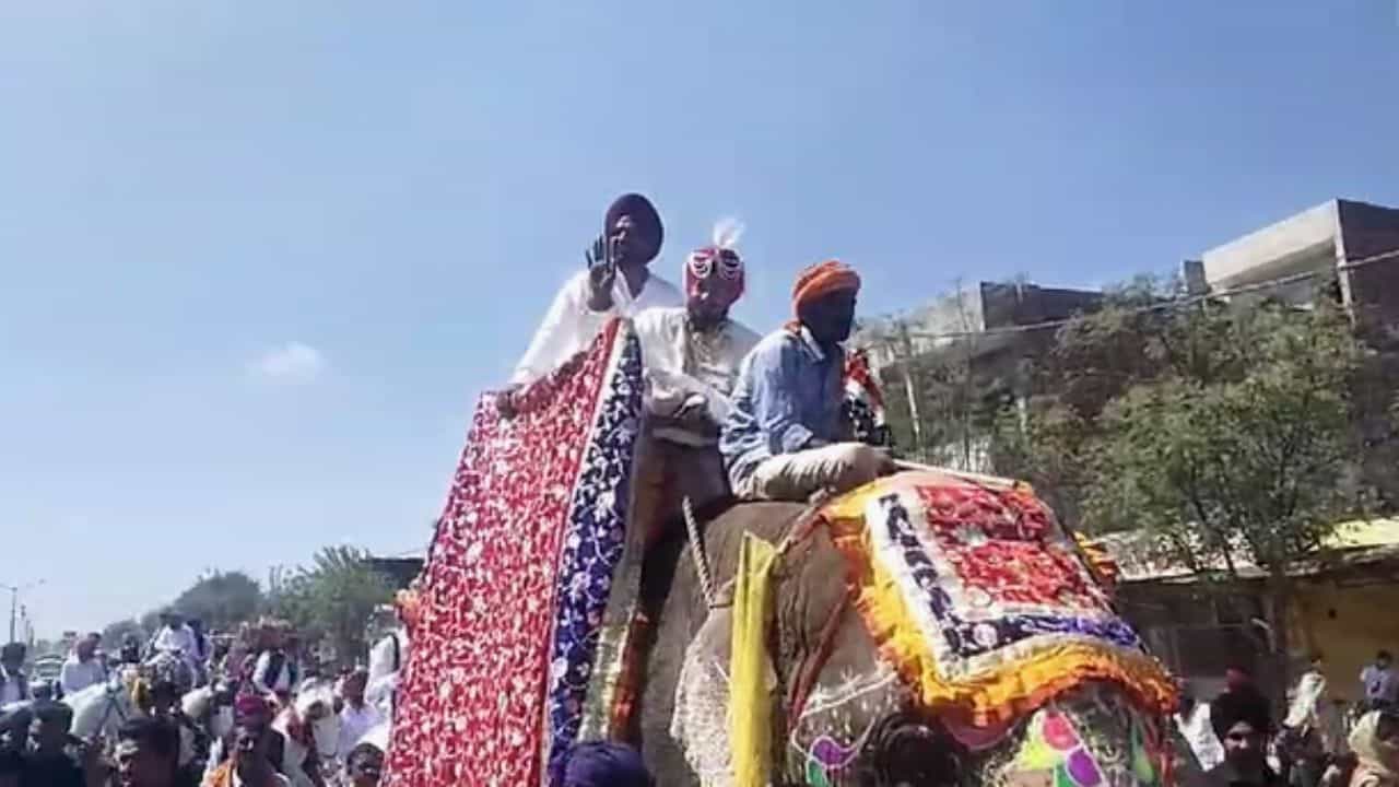 Ajab-Gajab: ਹਾਥੀ, ਘੋੜਿਆਂ ਅਤੇ ਉੱਠਾਂ ਤੇ ਲਾੜੀ ਨੂੰ ਲੈਣ ਪਹੁੰਚਿਆ ਲਾੜਾ, ਲੋਕ ਬੋਲੇ- ਰਾਜੇ-ਮਹਾਰਾਜਿਆਂ ਦੇ ਯੁੱਗ ਦੀ ਆਈ ਯਾਦ