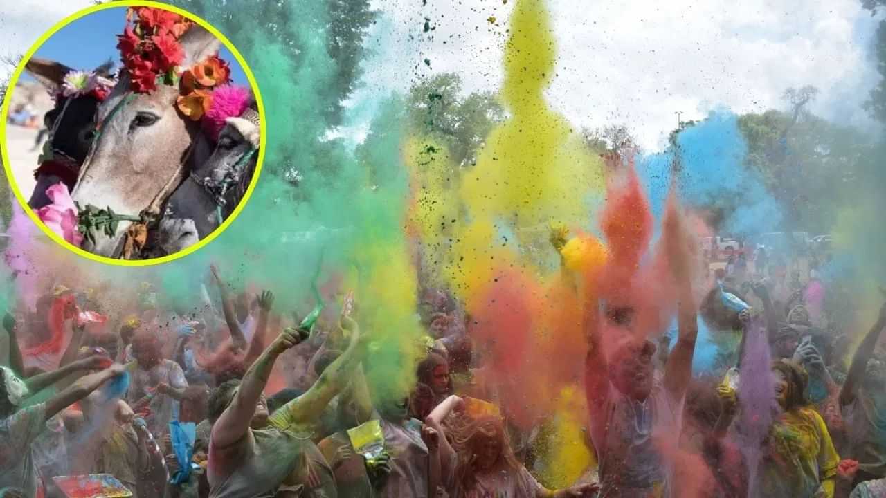 Unique holi tradition donkey ride: ਇਸ ਪਿੰਡ ਵਿੱਚ ਅਨੋਖੀ ਪਰੰਪਰਾ, ਹੋਲੀ ਤੇ ਜਵਾਈ ਨੂੰ ਕਰਵਾਈ ਜਾਂਦੀ ਹੈ ਗਧੇ ਦੀ ਸਵਾਰੀ