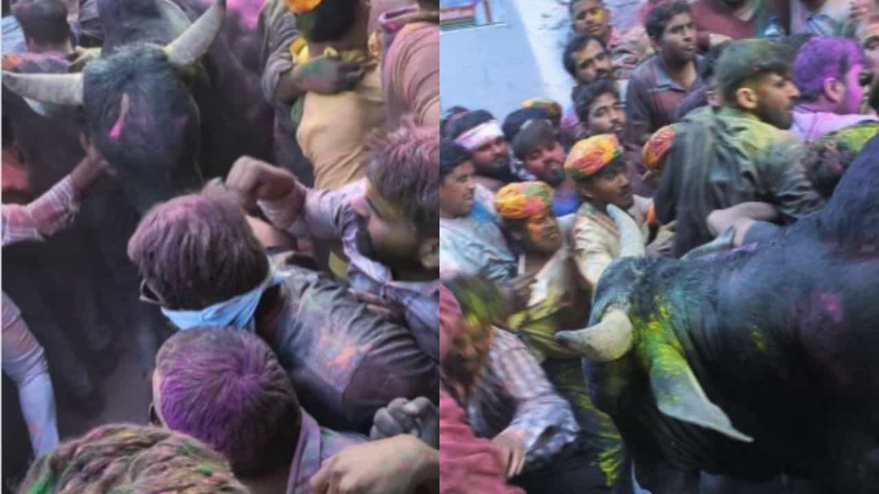 Holi Saand Viral Video: ਬਰਸਾਨੇ ਵਿੱਚ ਹੋਲੀ ਦੌਰਾਨ ਭੀੜ ਵਿੱਚ ਵੜਿਆ ਸਾਨ੍ਹ! ਕੀਤਾ ਅਜਿਹਾ ਹੰਗਾਮਾ ਲੋਕ ਭੱਜਦੇ ਦਿੱਤੇ ਦਿਖਾਈ