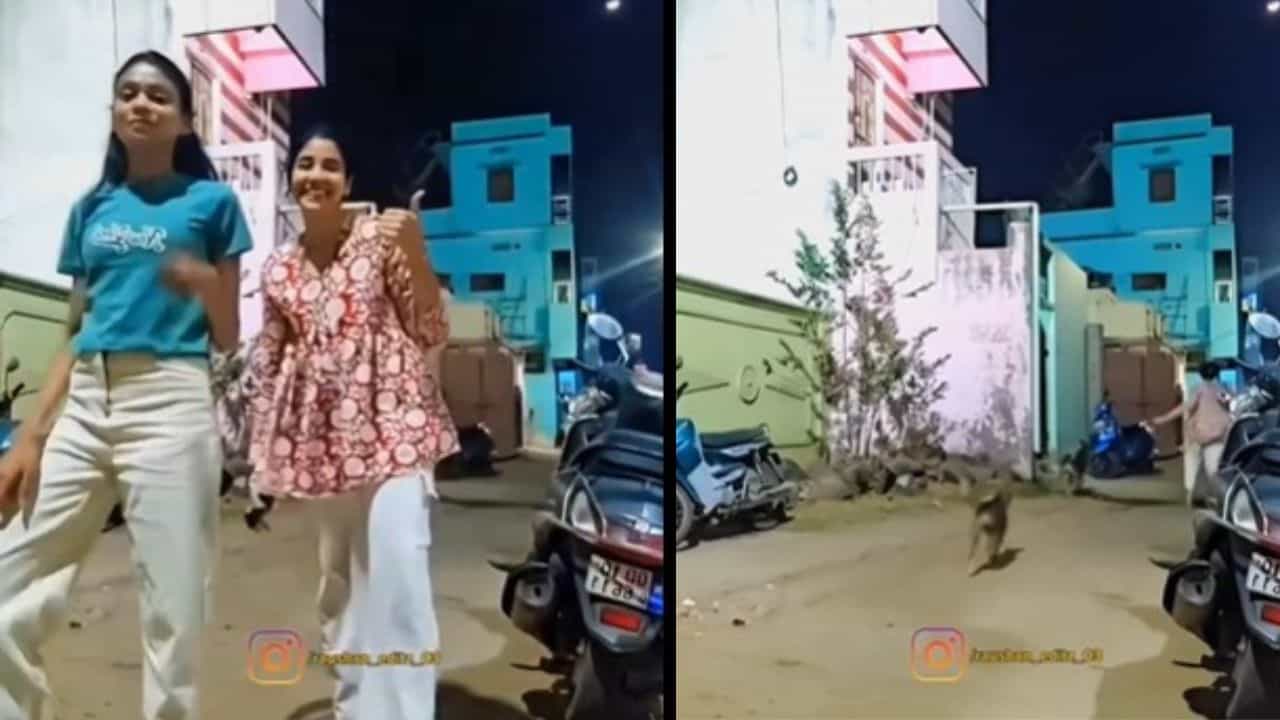 Viral Video : ਸੜਕ ਤੇ ਰੀਲ ਬਣਾ ਰਹੀਆਂ ਸਨ ਕੁੜੀਆਂ ਪਿੱਛੇ ਪੈ ਗਏ ਕੁੱਤੇ, ਅੱਗੇ ਜੋ ਹੋਇਆ...