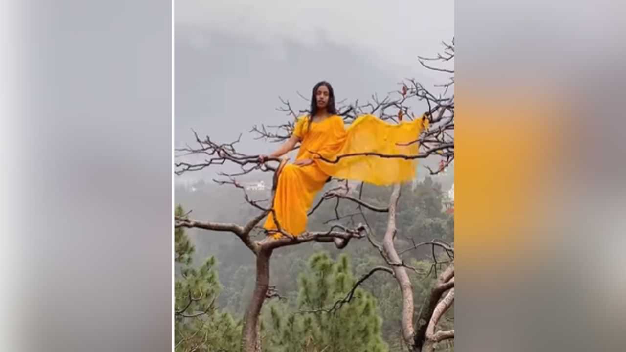 Viral: Yellow Saree ਚ ਪੇੜ੍ਹ ਤੇ ਚੜ੍ਹ ਕੇ ਕੁੜੀ ਨੇ ਬਣਾਈ ਰੀਲ, ਦੇਖੋ VIDEO