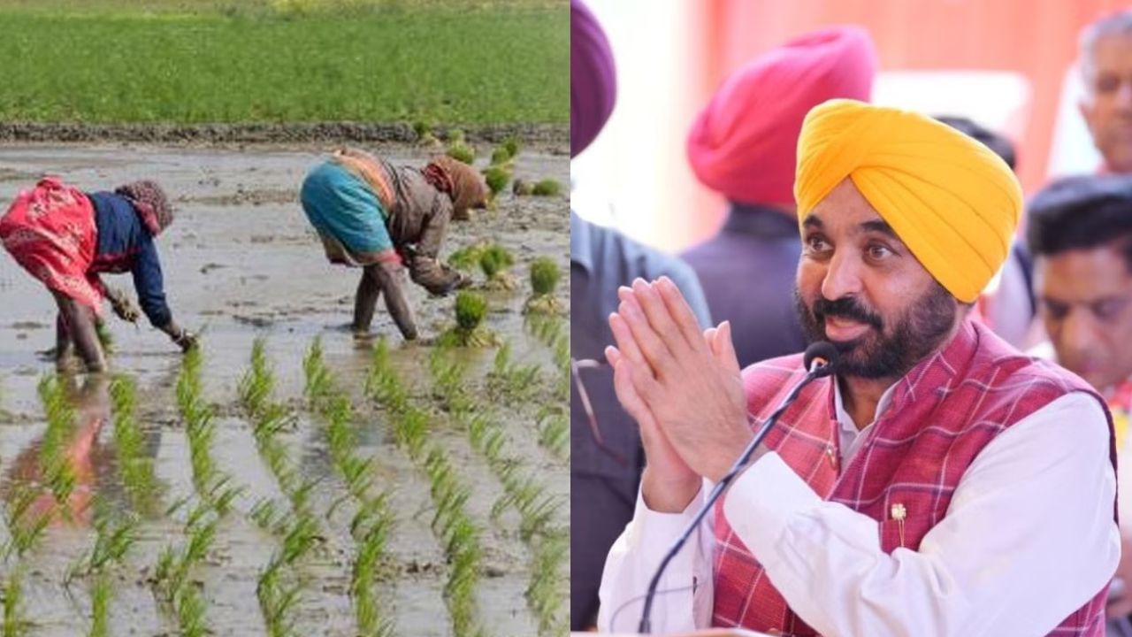 ਪੰਜਾਬ ਵਿੱਚ ਇੱਕ ਜੂਨ ਤੋਂ ਸ਼ੁਰੂ ਹੋਵੇਗੀ ਝੋਨੇ ਦੀ ਲਵਾਈ, ਮਾਨ ਸਰਕਾਰ ਨੇ ਸੂਬੇ ਨੂੰ 3 ਜ਼ੋਨਾਂ ਵਿੱਚ ਵੰਡਿਆ ਪੰਜਾਬ ਵਿੱਚ ਇੱਕ ਜੂਨ ਤੋਂ ਸ਼ੁਰੂ ਹੋਵੇਗੀ ਝੋਨੇ ਦੀ ਲਵਾਈ, ਮਾਨ ਸਰਕਾਰ ਨੇ ਸੂਬੇ ਨੂੰ 3 ਜ਼ੋਨਾਂ ਵਿੱਚ ਵੰਡਿਆ