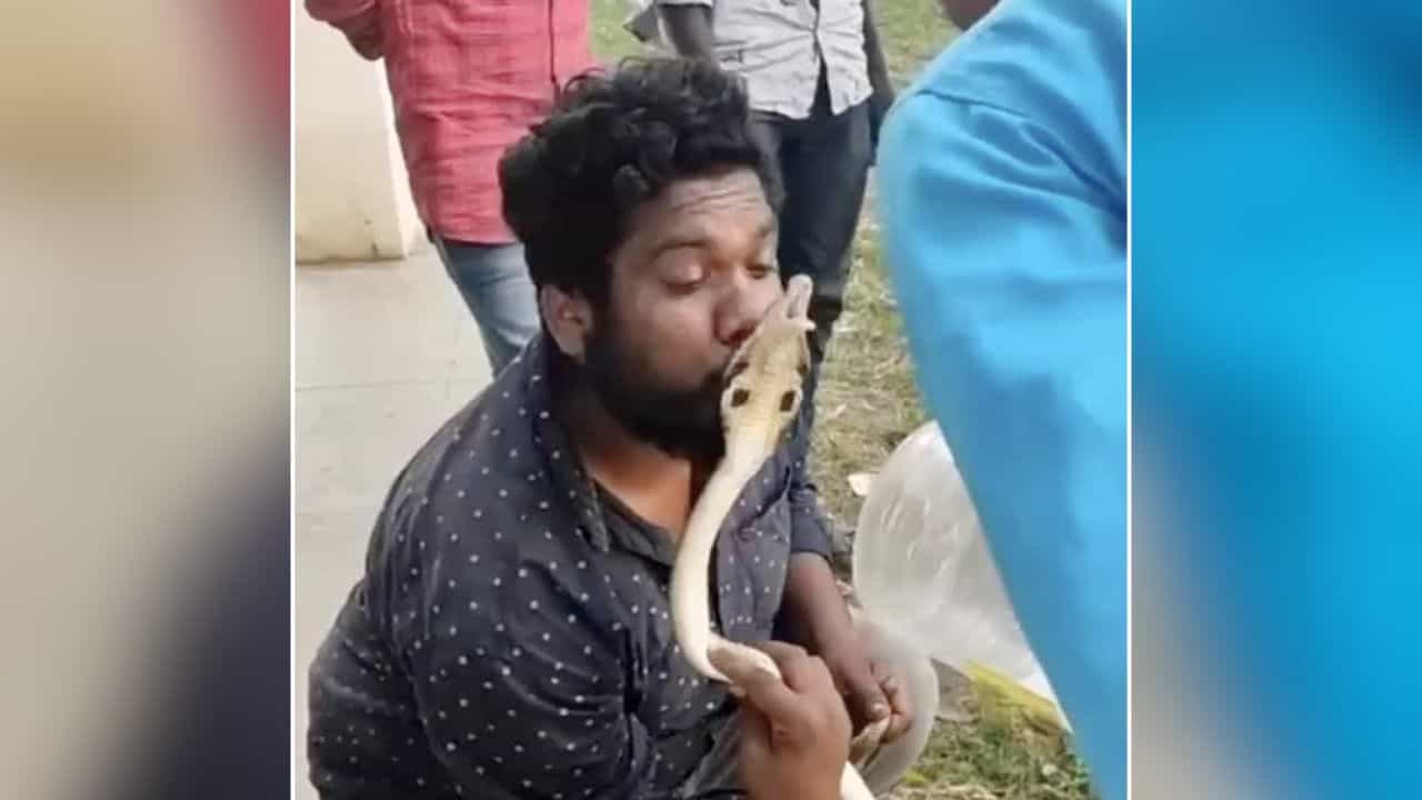 OMG: ਕੋਬਰਾ ਨੂੰ KISS ਕਰਨ ਦੀ ਕੋਸ਼ਿਸ਼ ਕਰ ਰਿਹਾ ਸੀ ਸ਼ਖਸ, ਸੱਪ ਨੇ ਬੁੱਲ੍ਹਾਂ ਤੇ ਮਾਰਿਆ ਡੰਗ