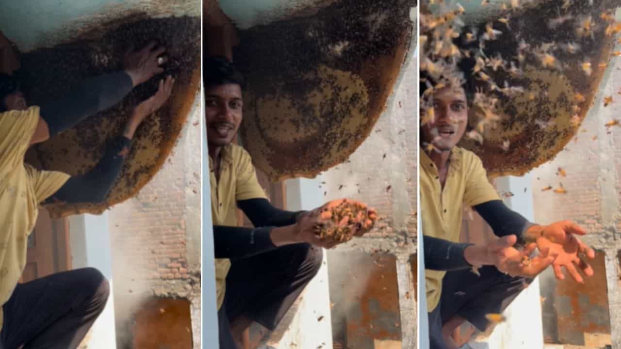 OMG: ਮਧੂ ਮੱਖੀਆਂ ਨਾਲ ਸ਼ਖਸ ਨੇ ਕੀਤਾ ਖ਼ਤਰਨਾਕ ਸਟੰਟ, ਦੇਖ ਦੰਗ ਰਹਿ ਗਏ ਲੋਕ